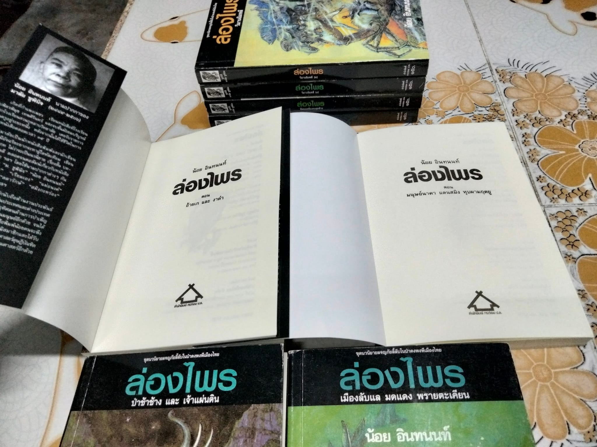 นิยายล่องไพร 8 เล่ม- (ครบชุด คือ 14 เล่ม) + ลูกไพร 1 เล่ม โดย น้อย อินทนนท์ - รวมเป็น 9 เล่ม