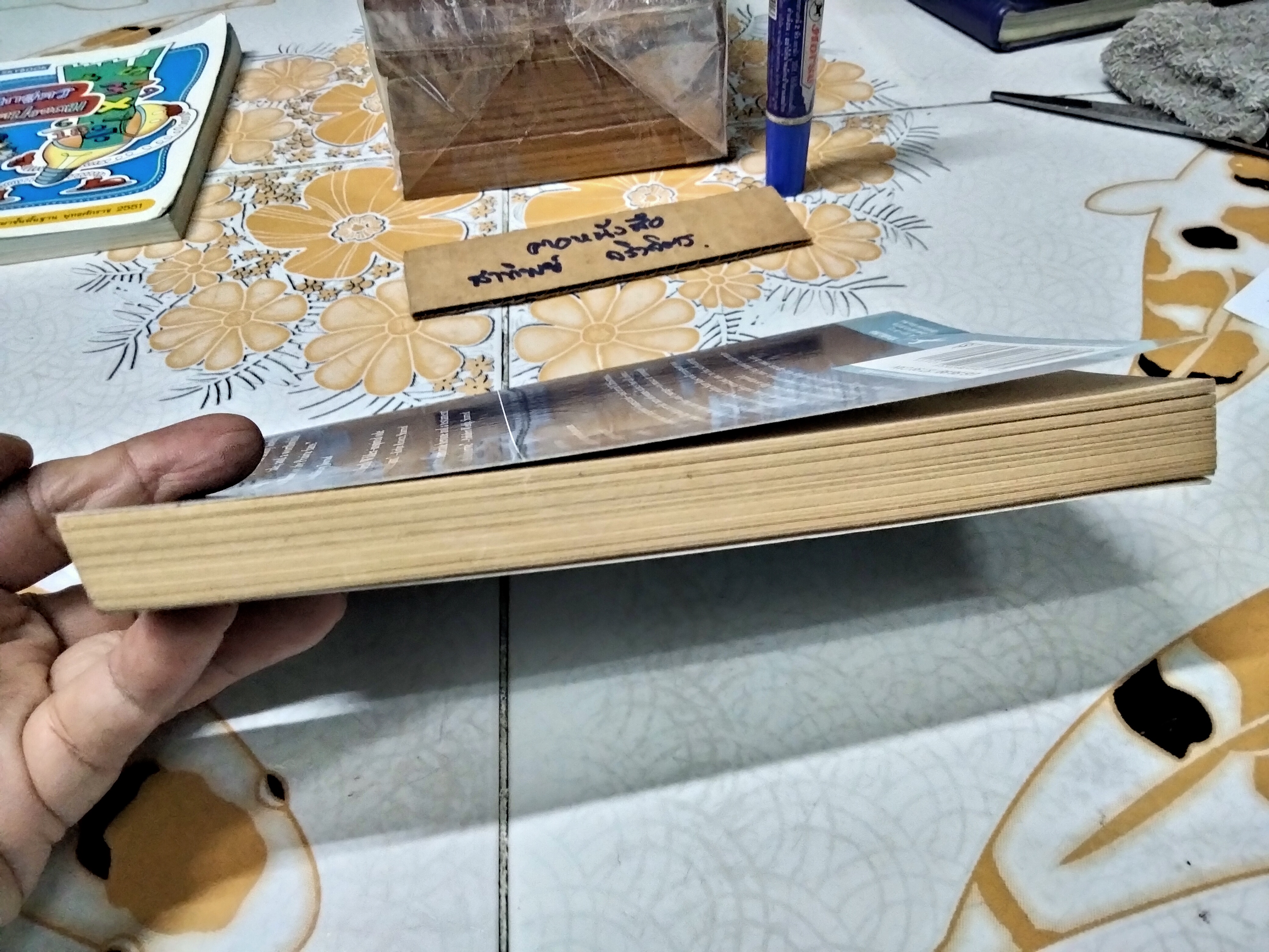 MAY B. a NOVEL By Caroline Starr Rose