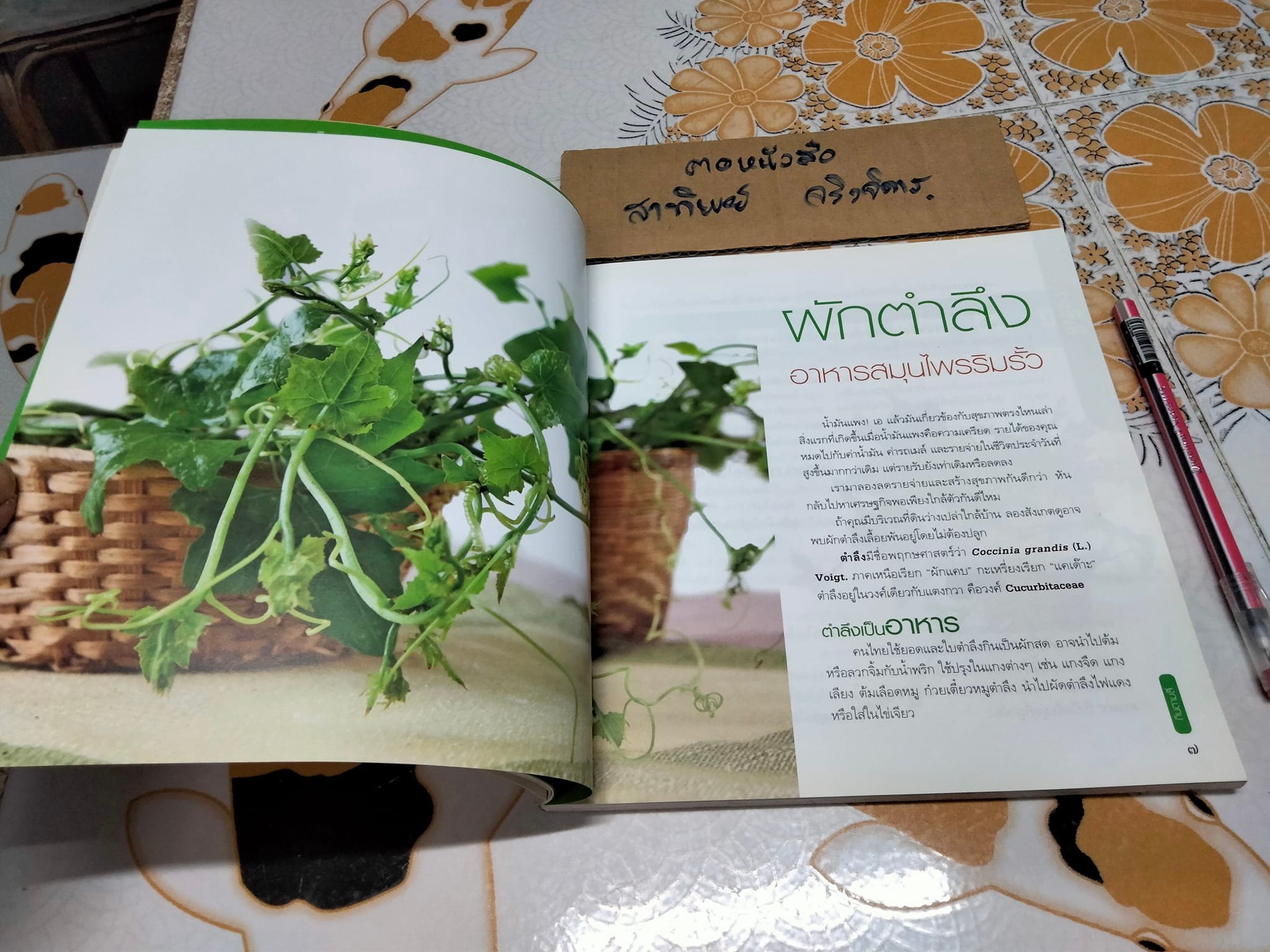 กินตามสี - รศ.ดร. กรณ์กาญจน์ ภมรประวัติ **สินค้าหมด**