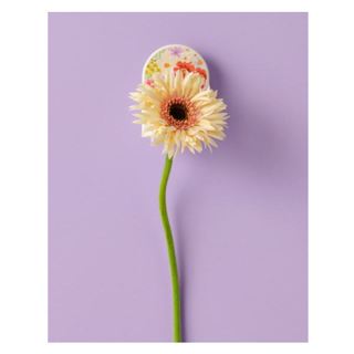 Gillette® Venus Razor Shower Hook Rifle Paper Co, 1 Count ตะขอแขวนมีดโกน และฝักบัว