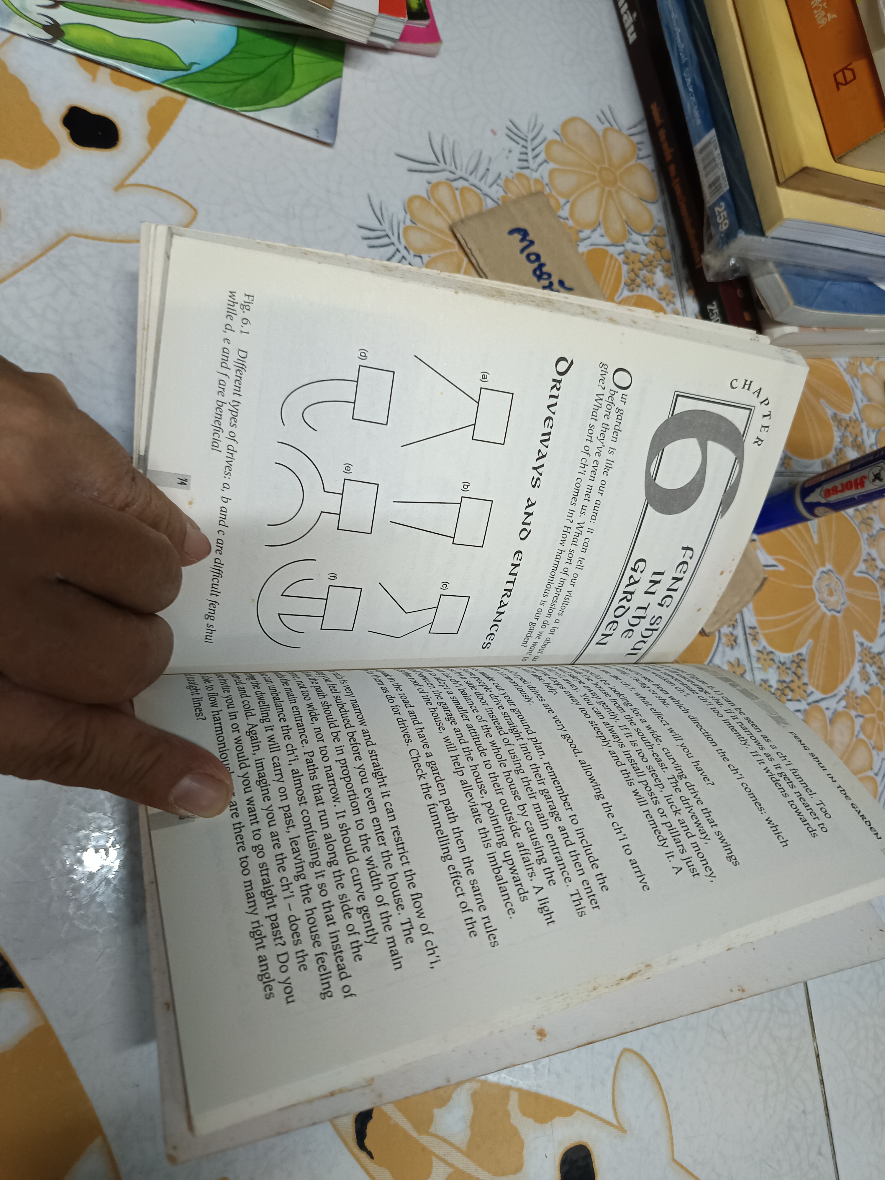 FENG SHUI FOR BEGINNERS by RICHARD CRAZE