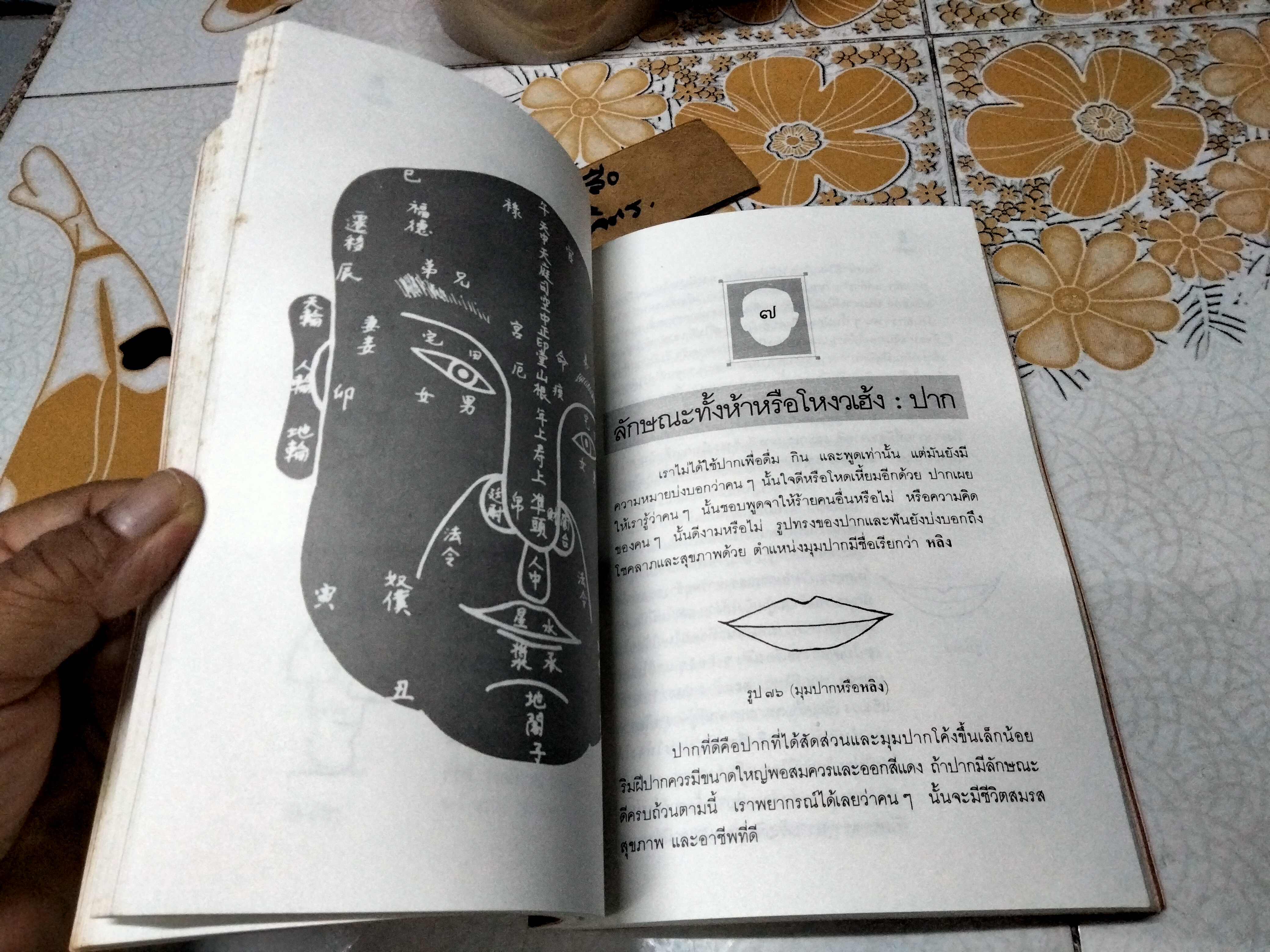 โหงวเฮ้ง : วิชานรลักษณ์ ศาสตร์แห่งการทำนายบุคลิกลักษณะ (Lines of Destiny) อำนวยชัย ปฏิพัทธ์เผ่าพงศ์ แปลและเรียบเรียง