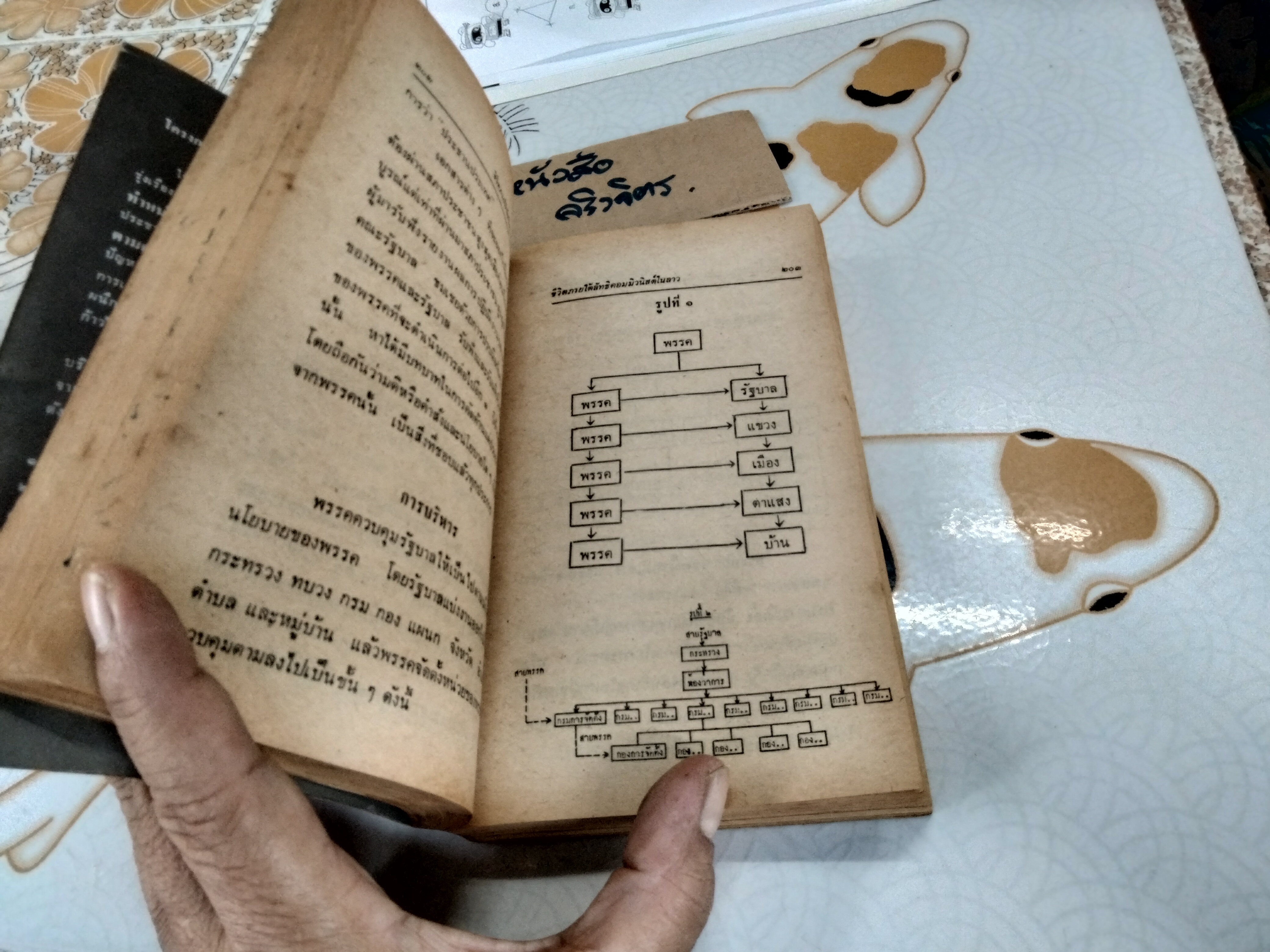 ทางสูญสิ้นเสรีภาพ ชีวิตภายใต้ลัทธิคอมมิวนิสต์ในลาว โดย บุญปลูก ส่วนพงษ์