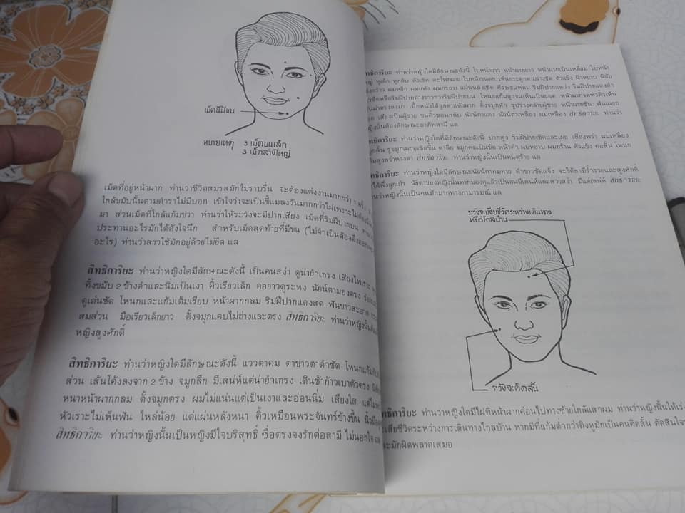 หนังสืออนุสรณ์ในการบรรจุศพ 'แสง เหตระกูล' (พ.ศ. 2458-2524) **สินค้าหมด**