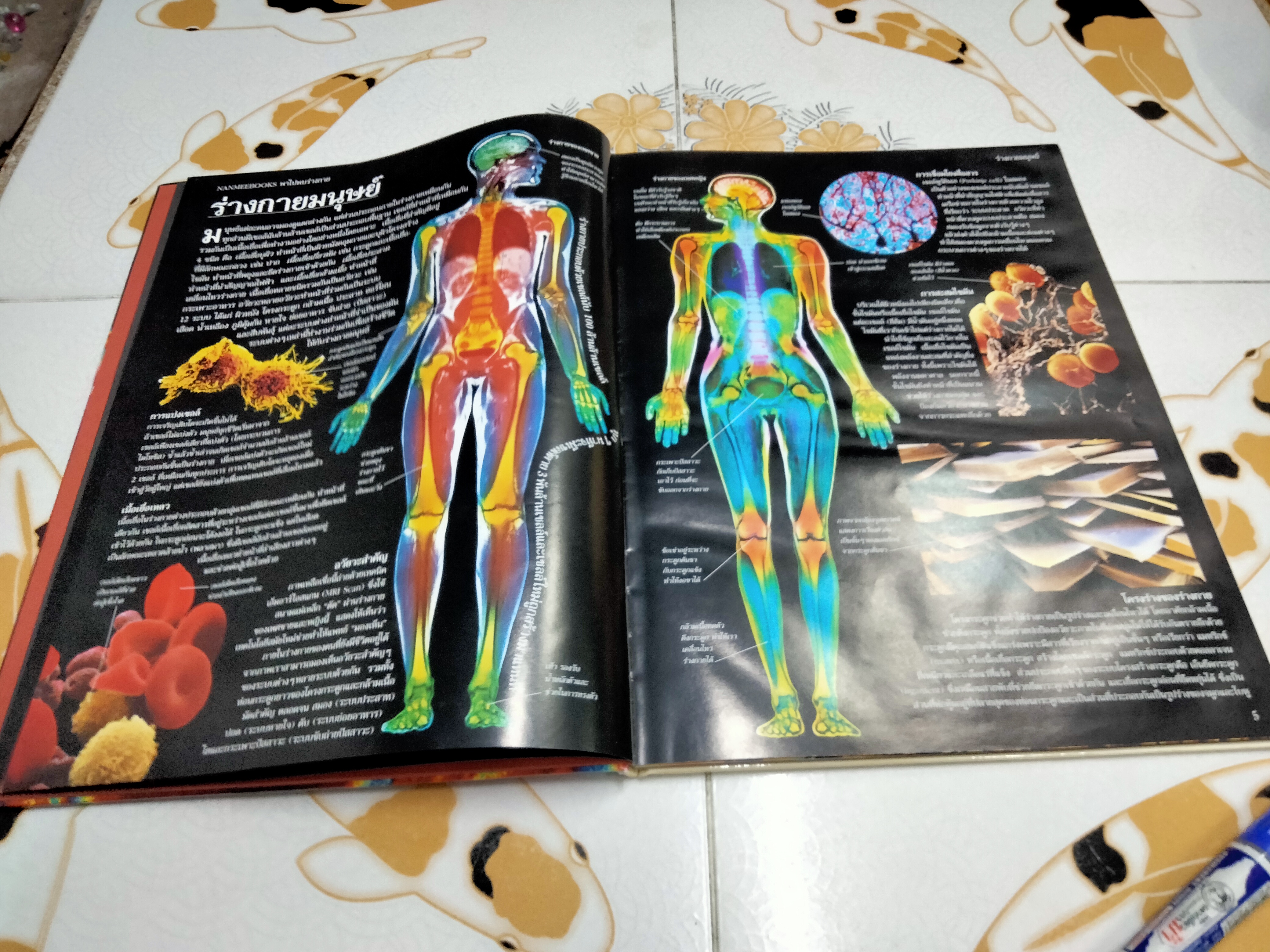 NANMEEBOOKS พาไปพบร่างกาย - Richard Walker เขียน, มีนา โอวราวินทร์ แปล (มีตราประทับจากห้องสมุดที่ใบรองปกหน้าและหลัง)