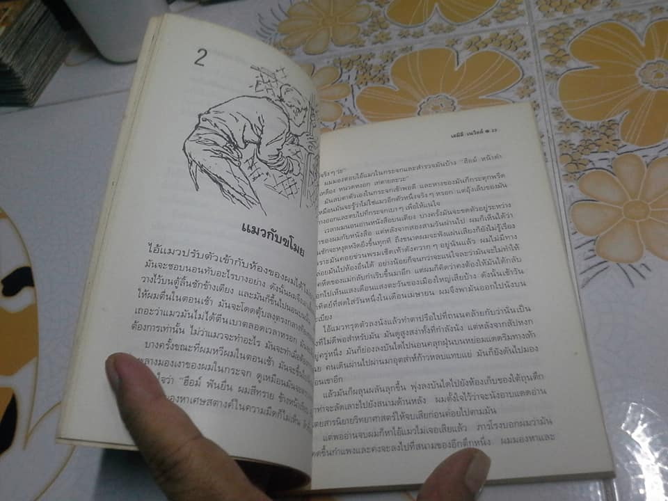 เช้าวันโคลัมบัส เรือข้ามฟาก และแมวพเนจร (It's Like This, Cat) **รางวัลนิวเบอรี่ ปี 1964