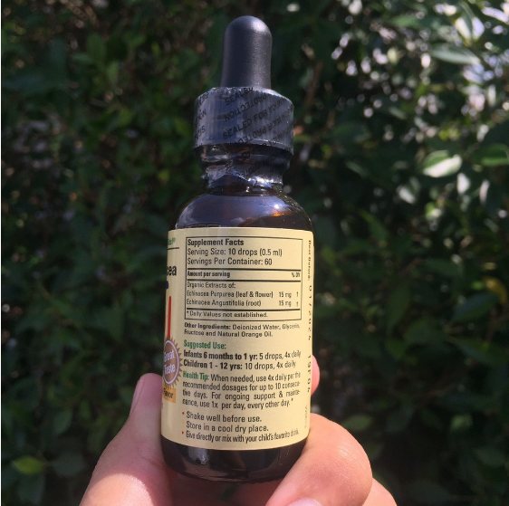 ChildLife® Essentials, Echinacea Natural Orange Flavor 29.6mL สมุนไพรเอ็กไคนาเซียสกัด ชนิดน้ำ รสส้ม วิตามินเสริมภูมิ