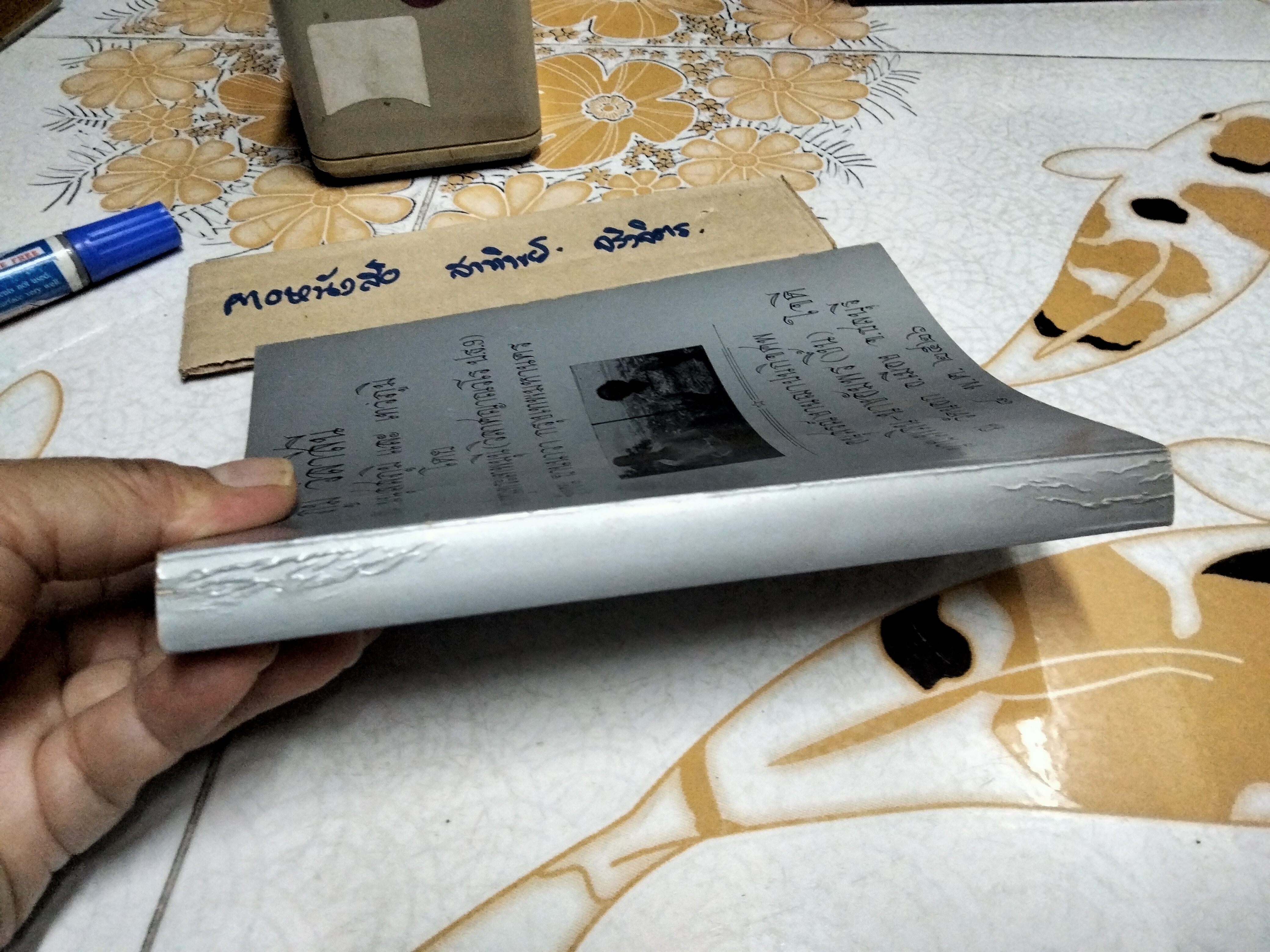 ภูมิ วิลาสินี ตอน มนุสสภูมิ และ เทวภูมิ ผลงานของ ท่านเจ้าคุณพระเทพมุนี