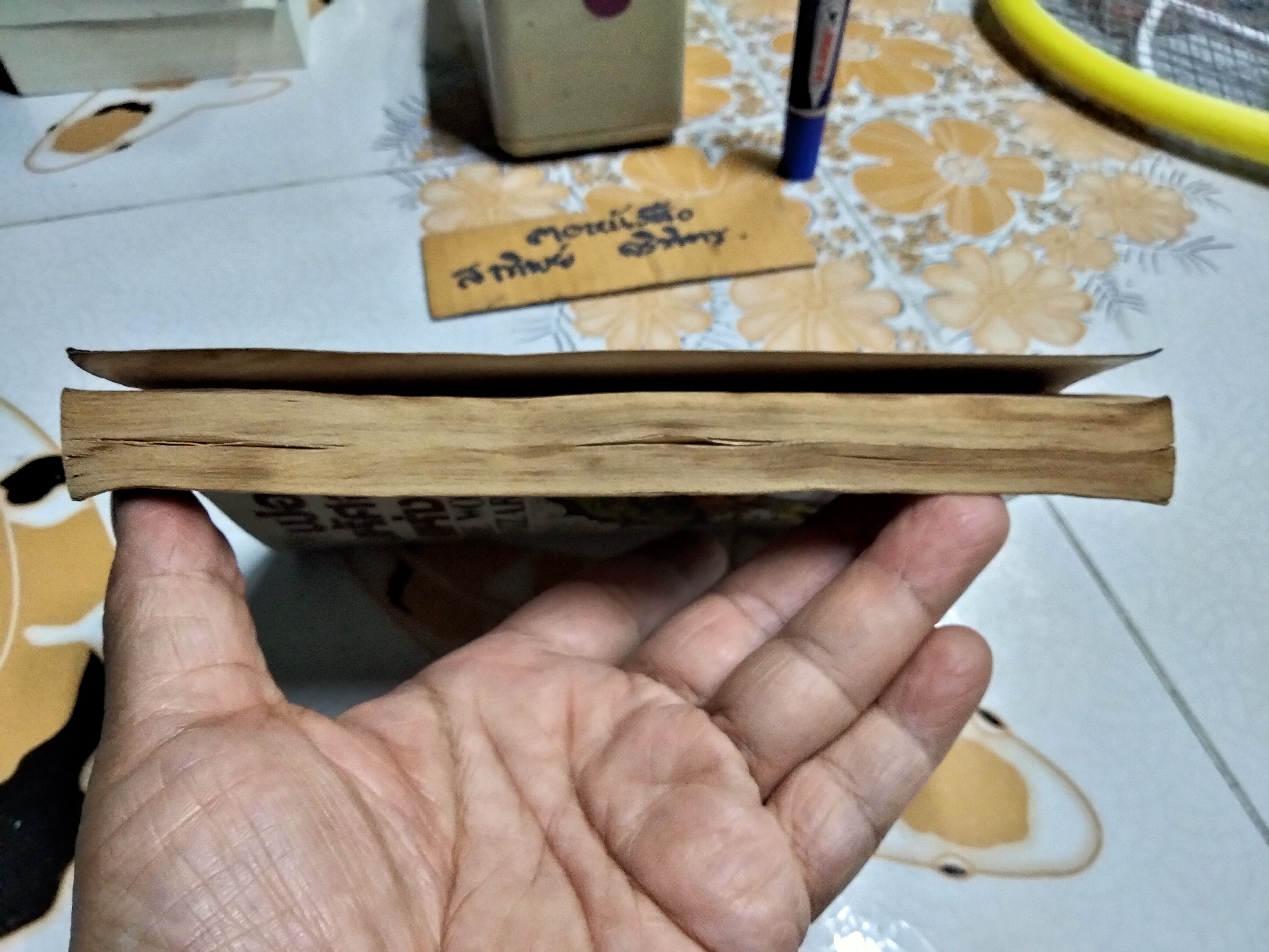 พ่อมดมหัศจรรย์แห่งอ๊อซ THE WONDERFUL WIZARD OF OZ- แฟรงค์ โบม เขียน, ชาญวิทย์ เกษตรศิริ แปล **สินค้าหมด**