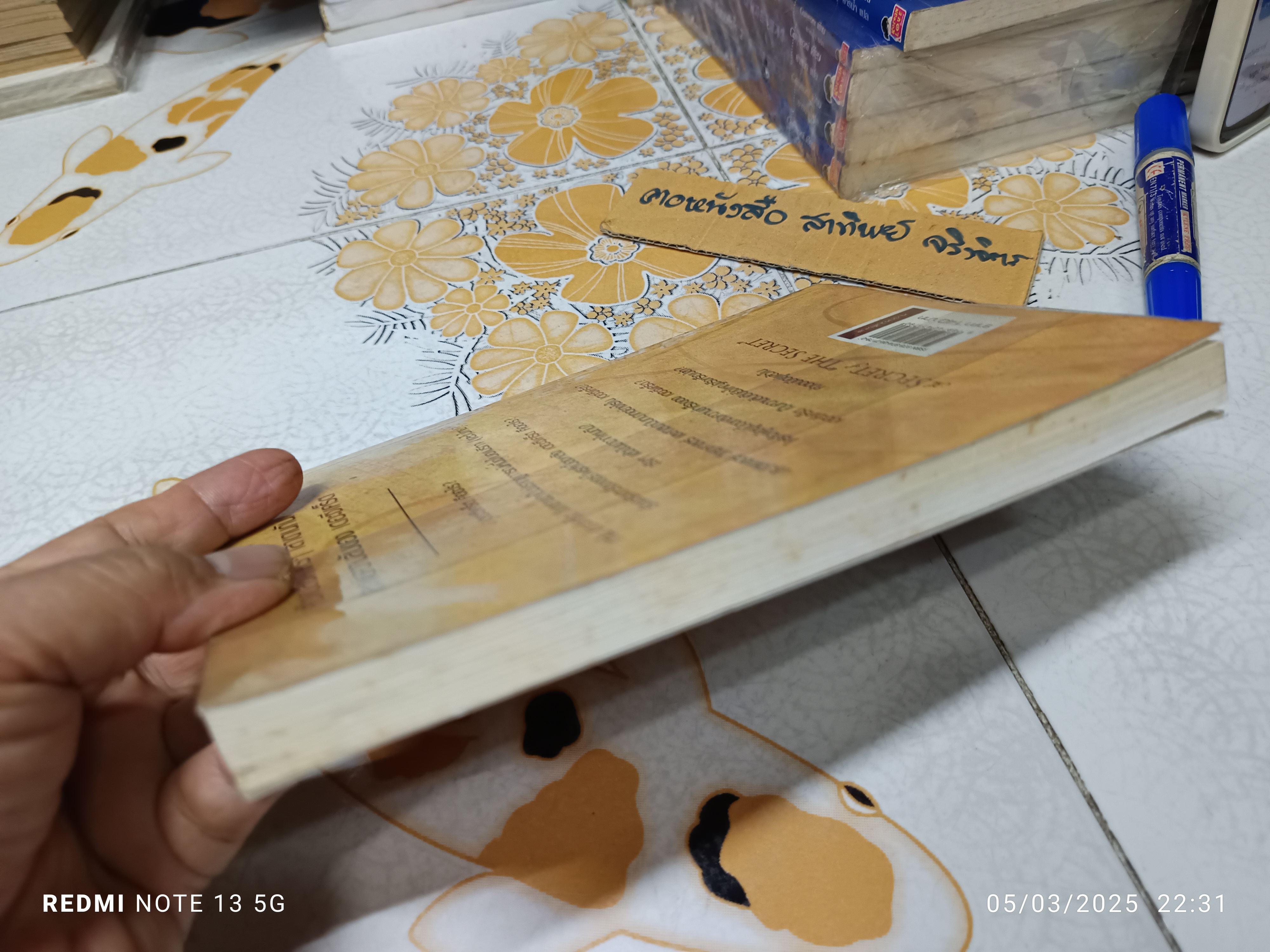 The Secret of the Secret เดอะซีเคร็ต ออฟ เดอะซีเคร็ต โดย Karen Kelly แปลโดย โสภาพรรณ