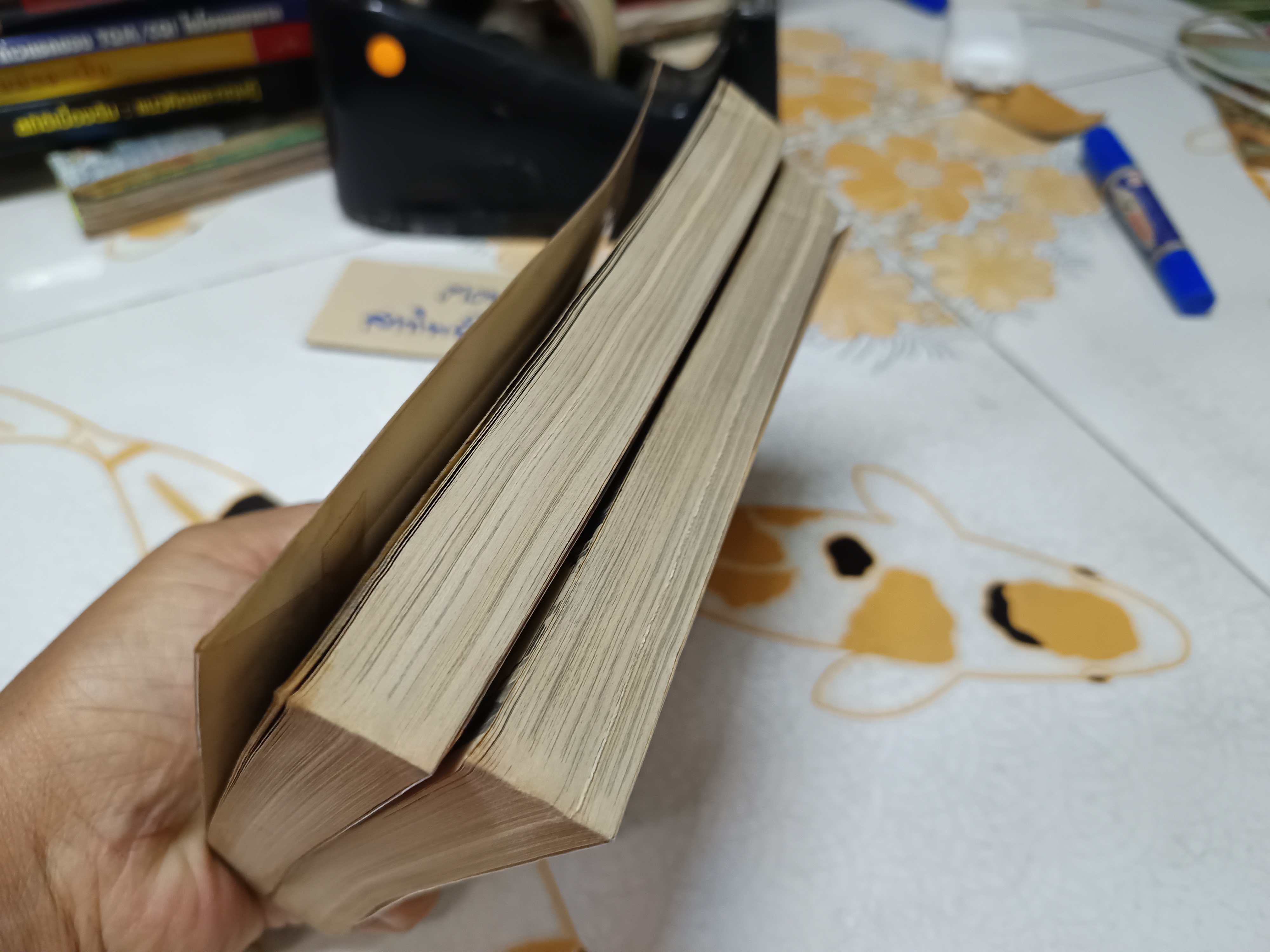 เจ้าหญิงจริงๆ นะเออ (2 เล่มจบ) ผลงานของ HONDA KEIKO **หนังสือเช่า สภาพดี