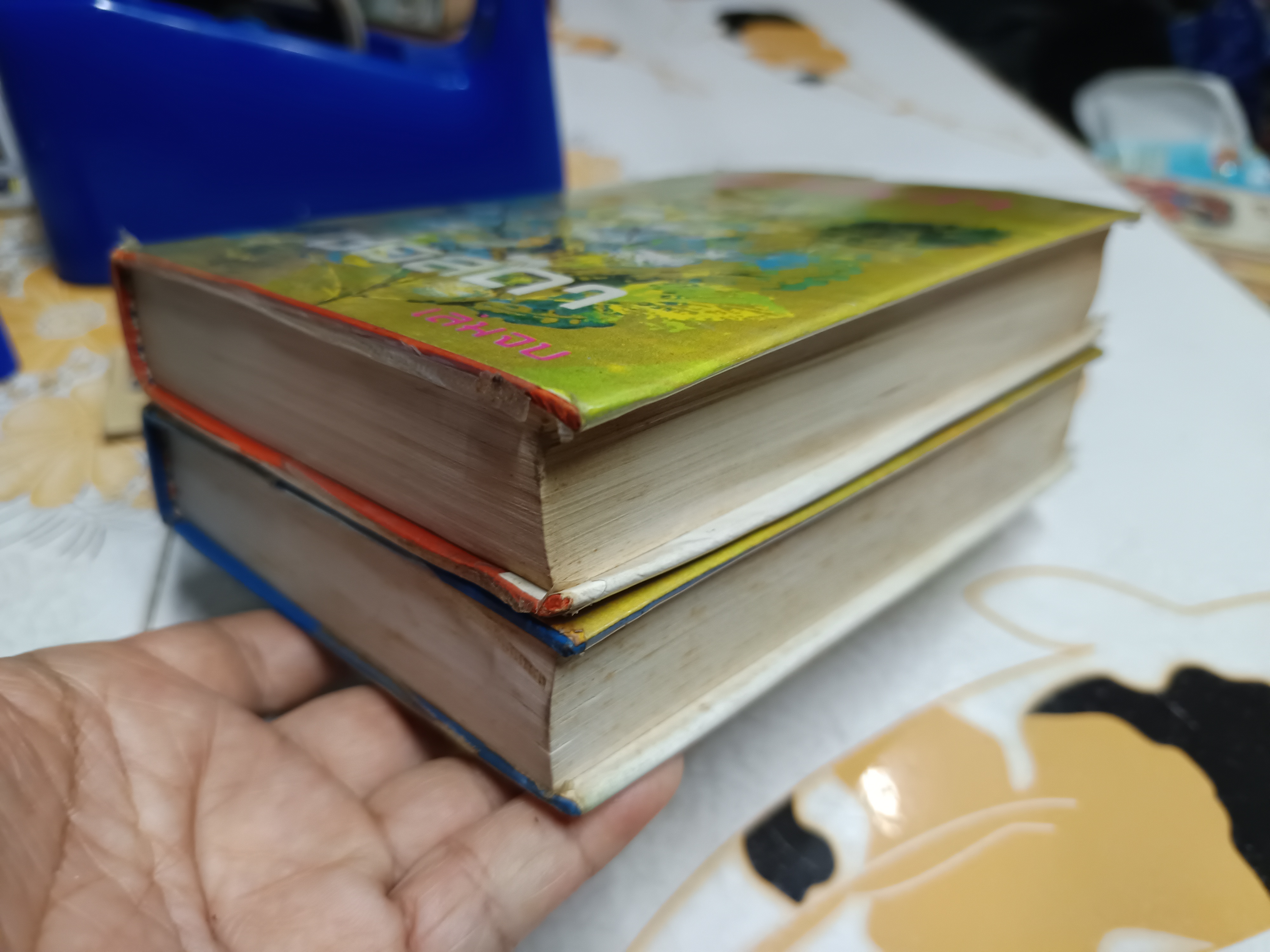 ลูกหว้า (2 เล่มจบ) ช่อลัดา