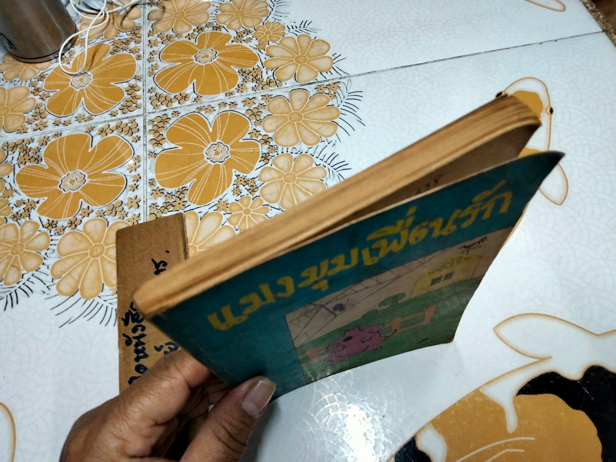 แมงมุมเพื่อนรัก แปลจาก Charlotte's Web ของ E.B. White (อี. บี. ไวท์) โดย มัลลิกา **สินค้าหมด**