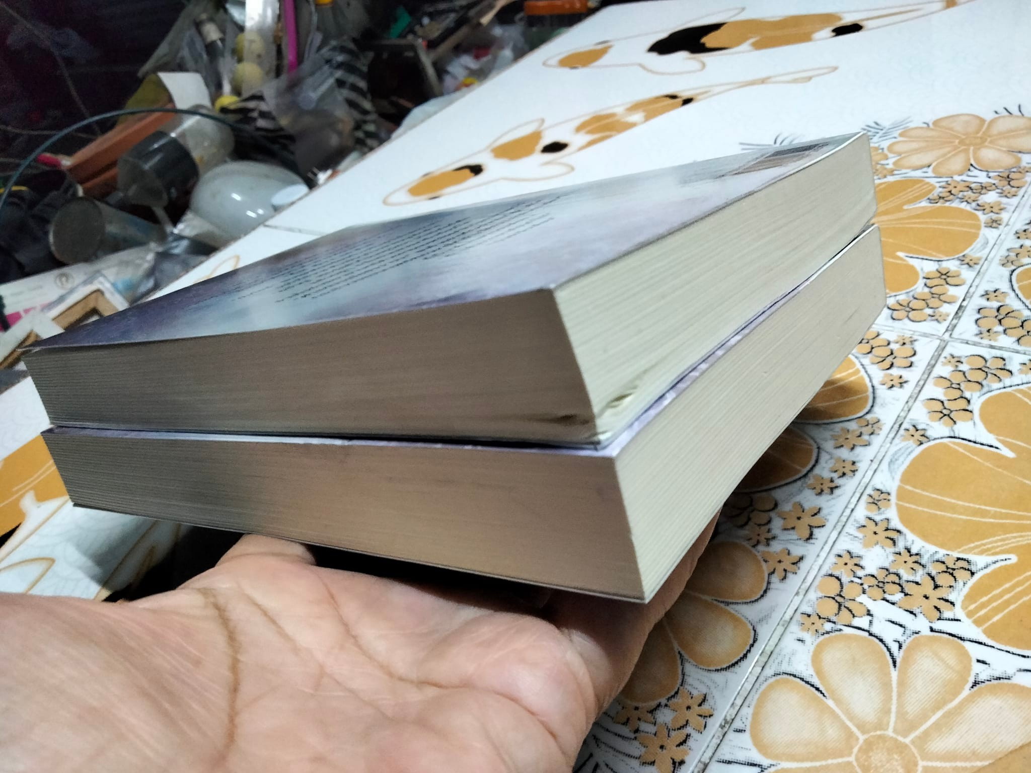 นิยายวาย My Engineer มีช็อป มีเกียร์ มีเมียรึยังวะ? (ปกเก่า) 2 เล่มจบ