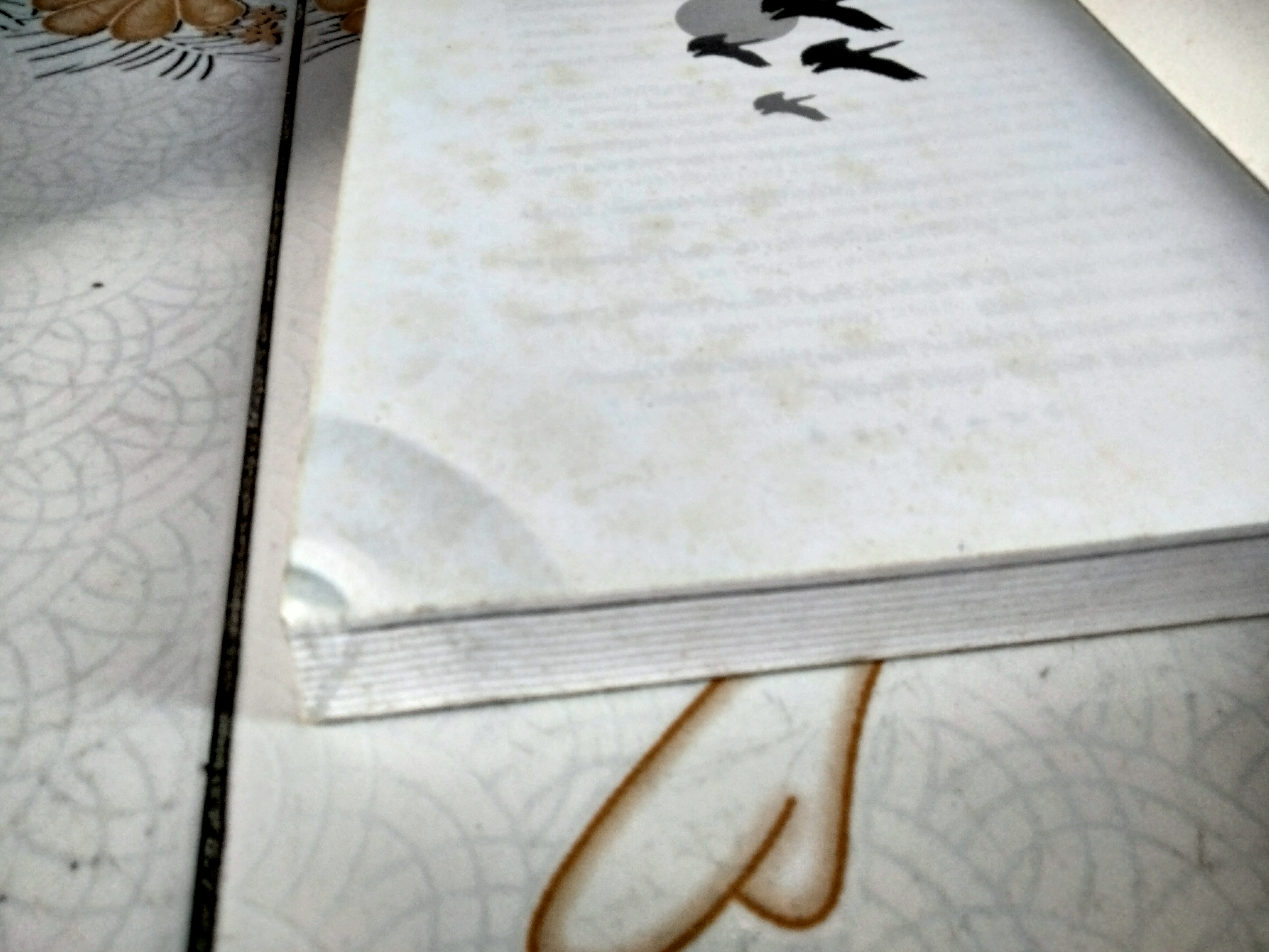 ชีวิตธุรกิจเสรี An Enterprising Life อัตชีวประวัติ เจย์ แวน แอนเดล ผู้ร่วมสถาปนา แอมเวย์ คอร์ปอเรชั่น พิมพ์ครั้งแรก 2544 **สินค้าหมด**