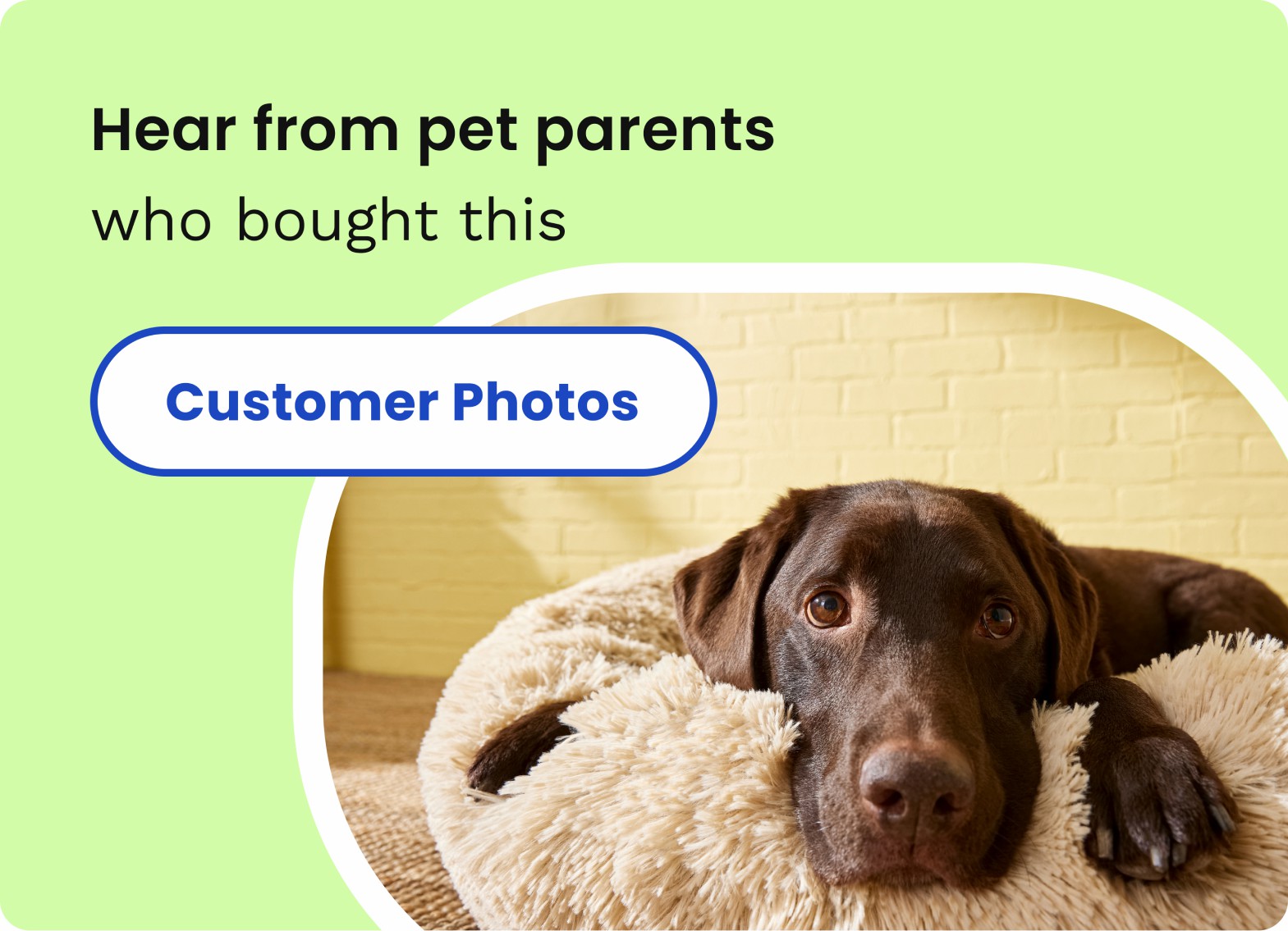 Hartz® UltraGuard Ear Mite Treatment for Cats น้ำยารักษาไรหูสำหรับแมว มีส่วนผสมของว่านหางจระเข้