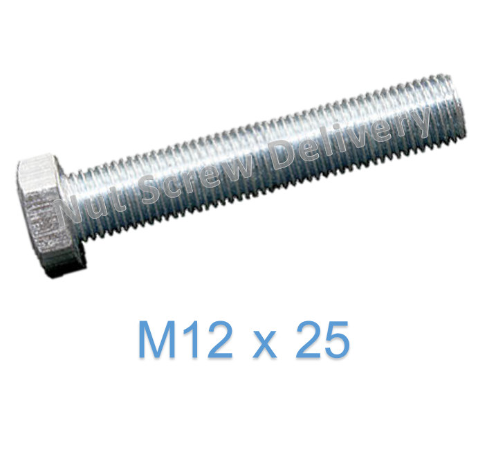 สกรูหัวเหลี่ยมมิลขาว M12 x 25 (เกลียว 1.5)