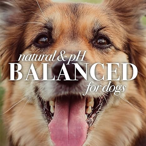 Burt's Bees® Shampoo & Conditioner for Dogs แชมพูและครีมนวดอาบน้ำ สำหรับสุนัข