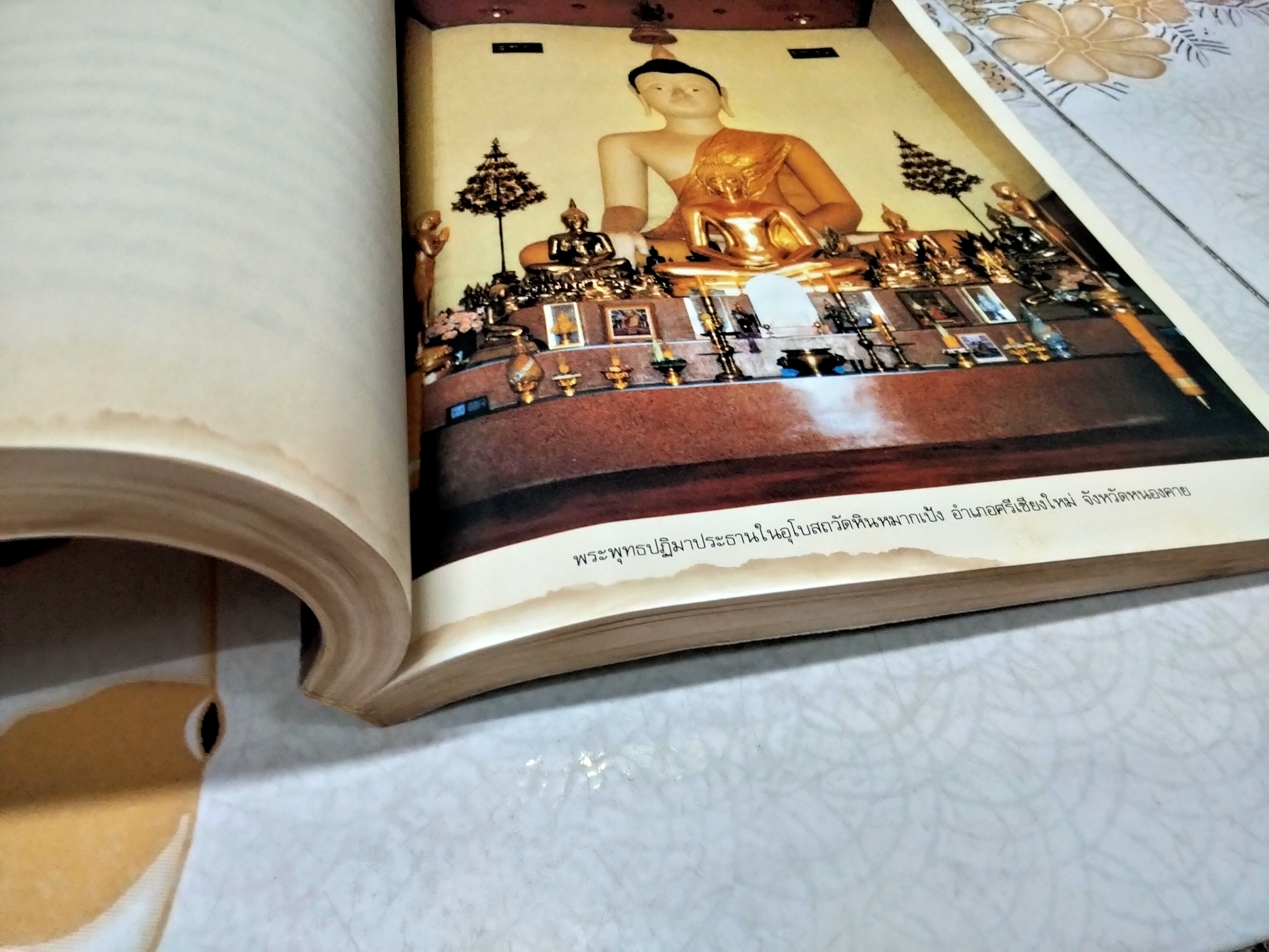 สโมธานธรรมปฏิบัติ ของ พระราชนิโรธรังสี (เทสก์ เทสรังสี) **สินค้าหมด**