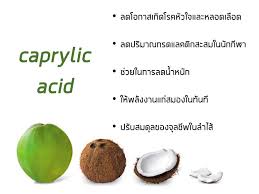 (Pre Order) Solgar® Caprylic Acid 100 Vegetable Capsules กรดคาไพรลิกกรดไขมันสายกลาง ปรับสมดุลของจุลชีพในลำไส้ ให้พลังงานแก่สมอง