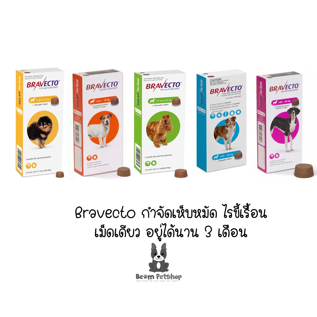 Bravecto ยากินสำหรับกำจัดเห็บหมัด อยู่ได้นาน 3 เดือน