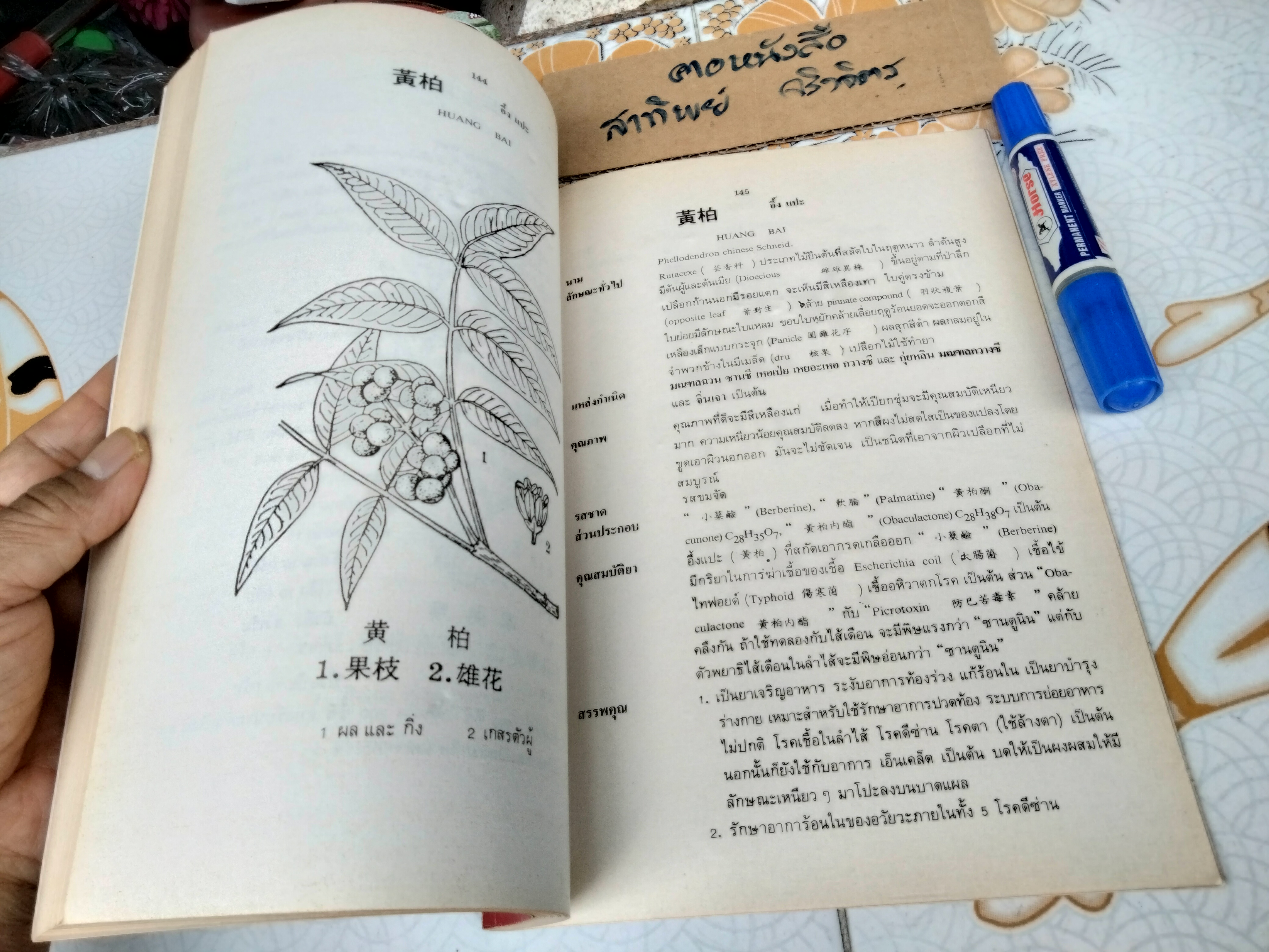 สมุนไพรจีน - รวบรวมเรียบเรียงและจัดพิมพ์ โดย นายเจนกิจ เวชพงศา **สินค้าหมด**