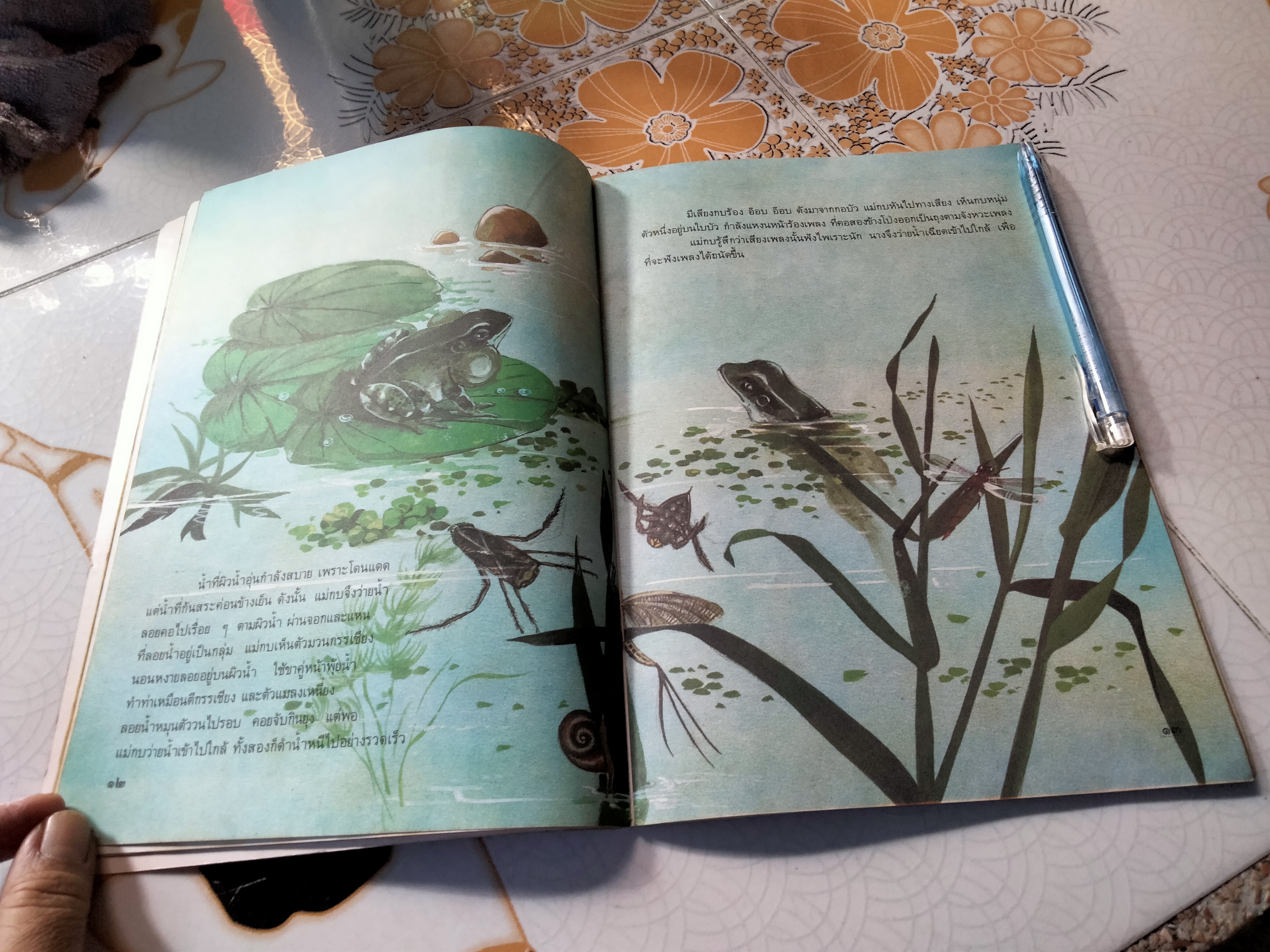 ในสระจ้อย -หนังสือส่งเสริมการอ่านระดับประถมศึกษา โดย กรมวิชาการ กระทรวงศึกษาธิการ **สินค้าหมด**