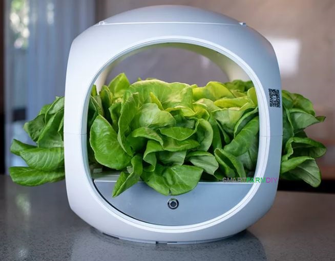 เครื่องปลูกผัก SMARTDIY GROW