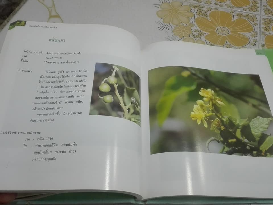 พืชสมุนไพรในประเทศไทย ตอนที่ 1 (ปกแข็ง-มีใบหุ้มปก) **สินค้าหมด**