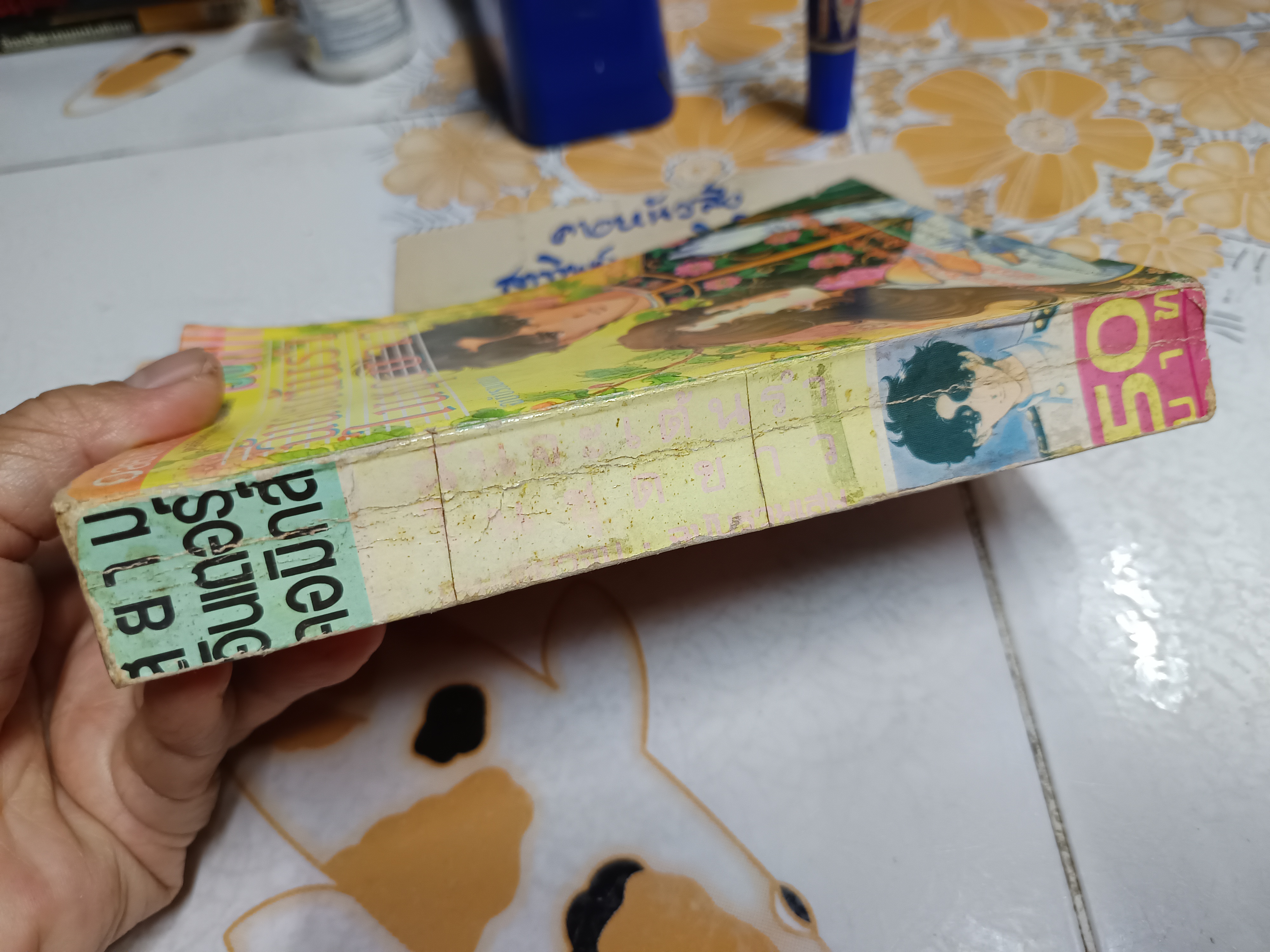 ฉันจะเต้นรำในชุดขาว (ฉบับรวมเล่ม)