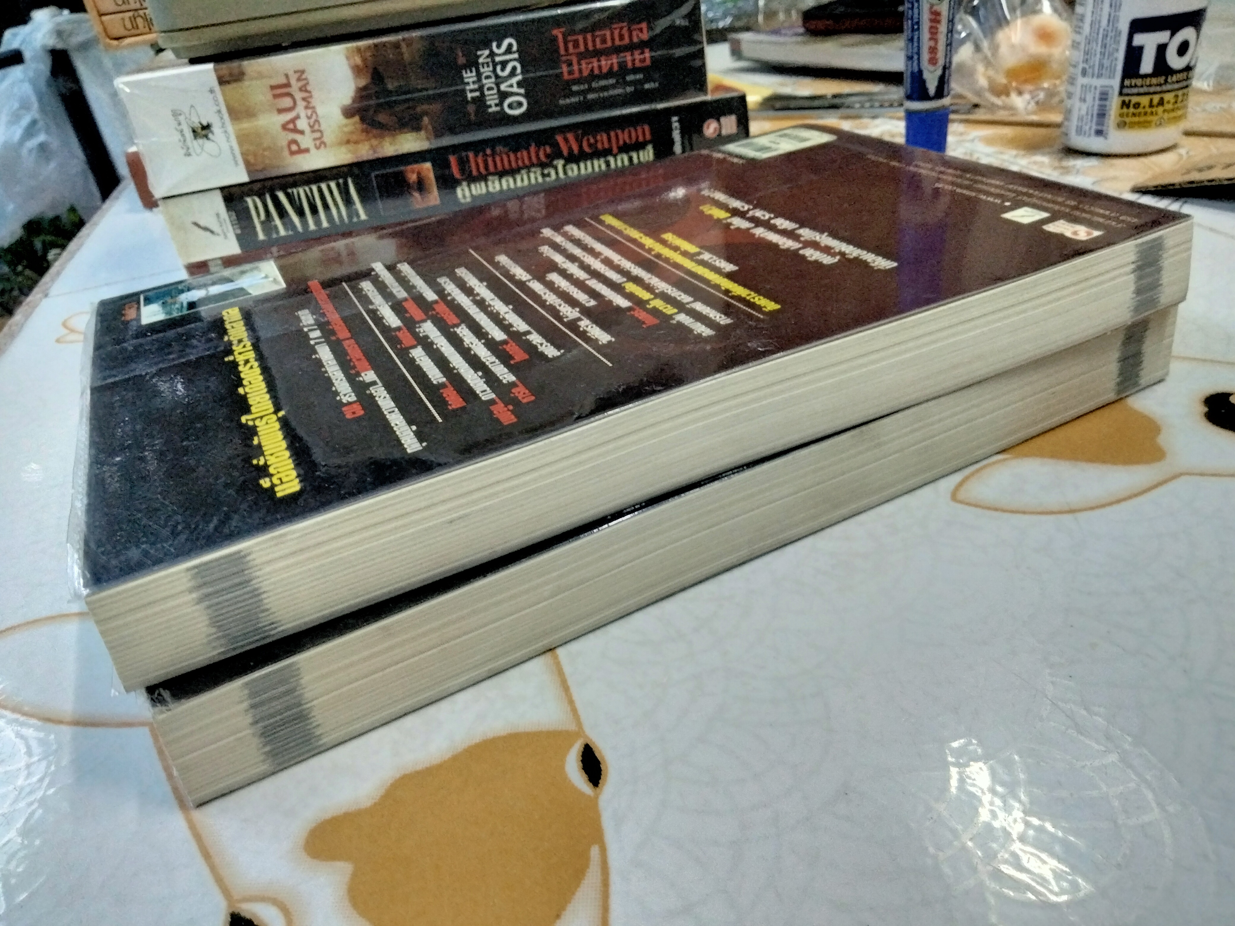 พยัคฆ์คำรน (พยัคฆ์เพชฌฆาตล่าถล่มโลก) 2 เล่มจบ โดย พันทิวา **สินค้าหมด**