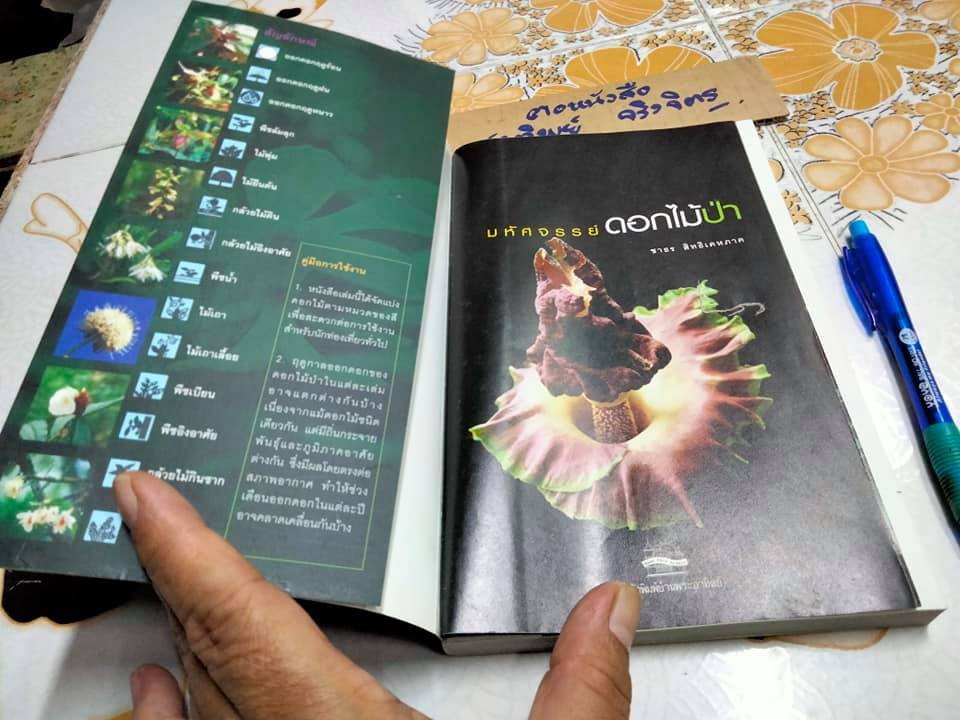 มหัศจรรย์ดอกไม้ป่า เล่ม 1 - ชาธร สิทธิเคหภาค