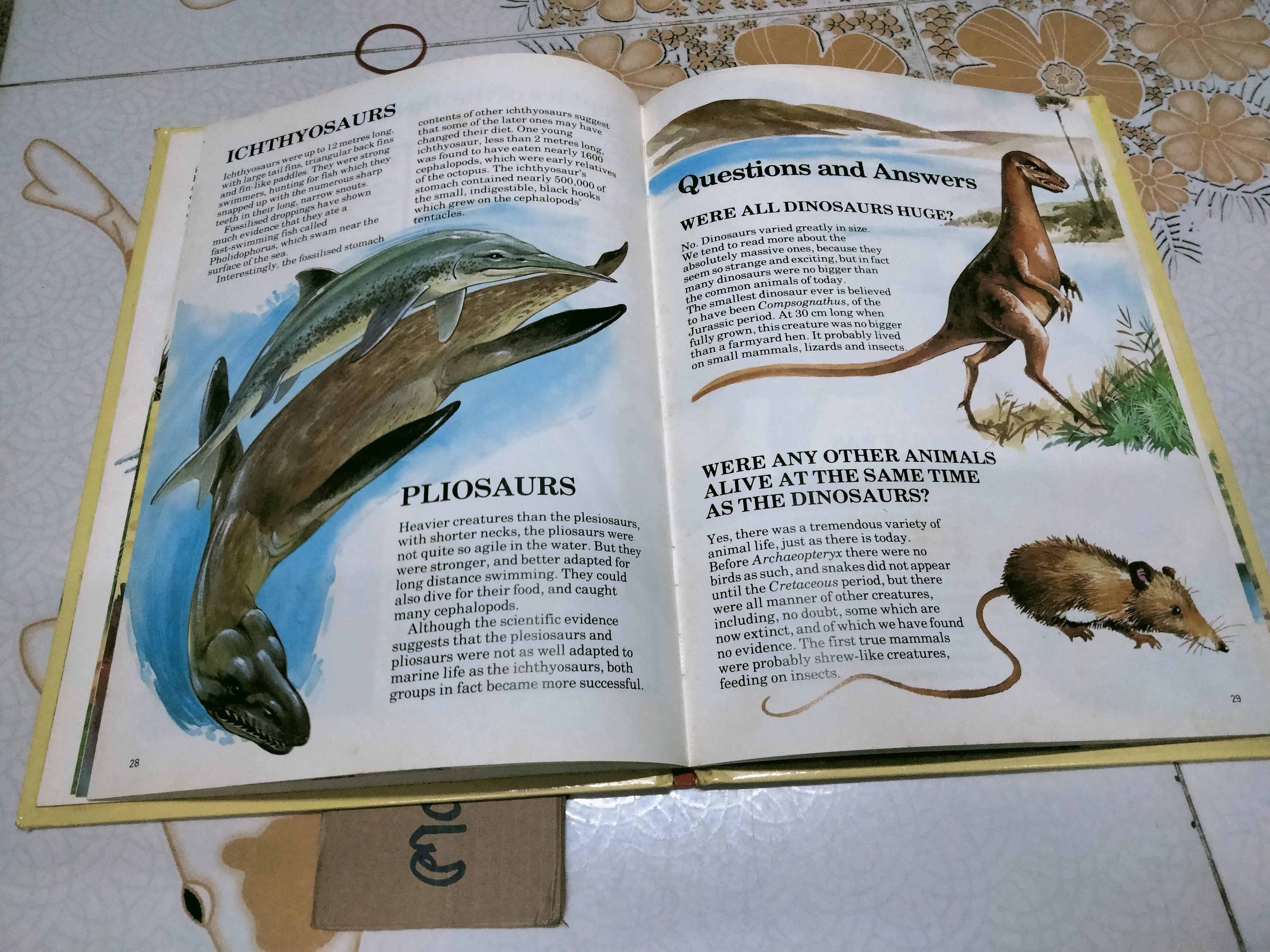 All about DINOSAURS - DERRYDALE BOOKS