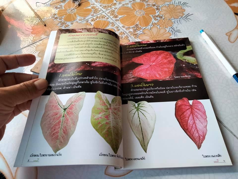 บอนสี - ร้อยพรรณพฤกษา โดย อ.เศรษฐมันตร์ กาญจนกุล พิมพ์ครั้งแรก พ.ศ.2550 **สินค้าหมด**