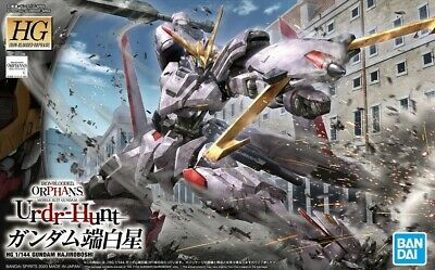 041 HAJIROBOSHI