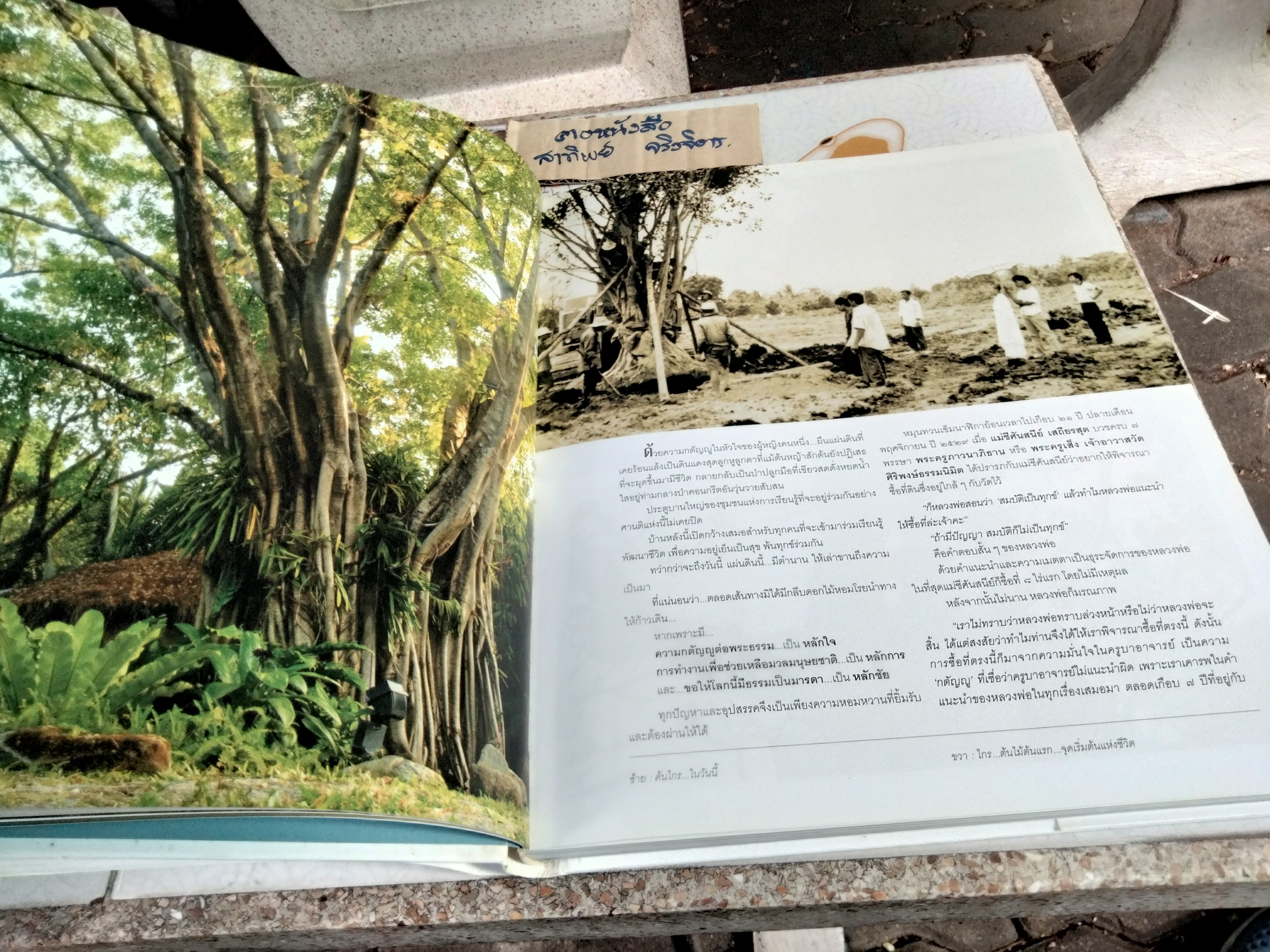 กรุณาแห่งหัวใจ A NOBLE MISSION โดย แม่ชีศันสนีย์ เสถียรสุต **สินค้าหมด**