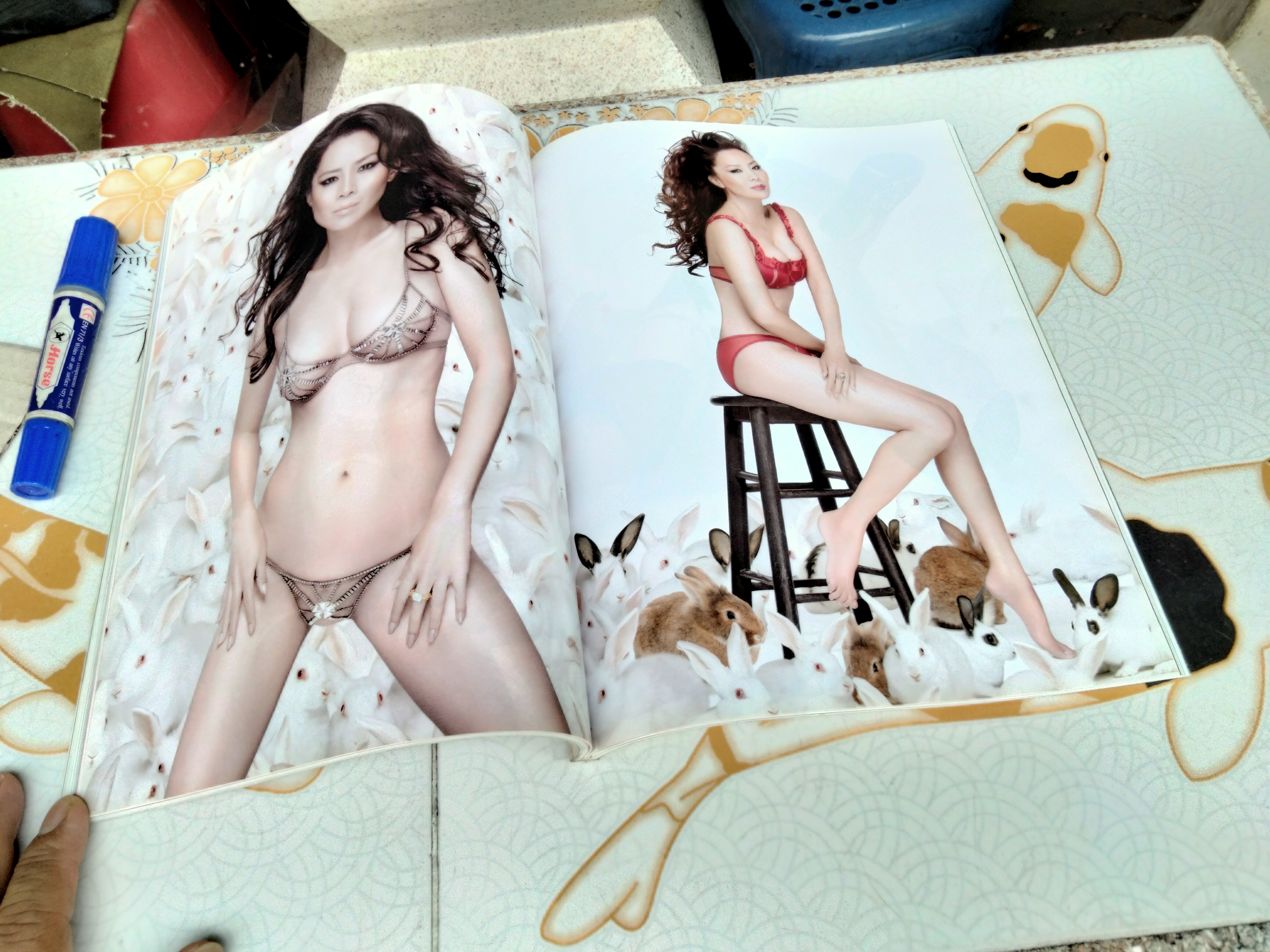 นิตยสาร VOLUME ปก ต่าย เพ็ญพักตร์ ปก Rabbit