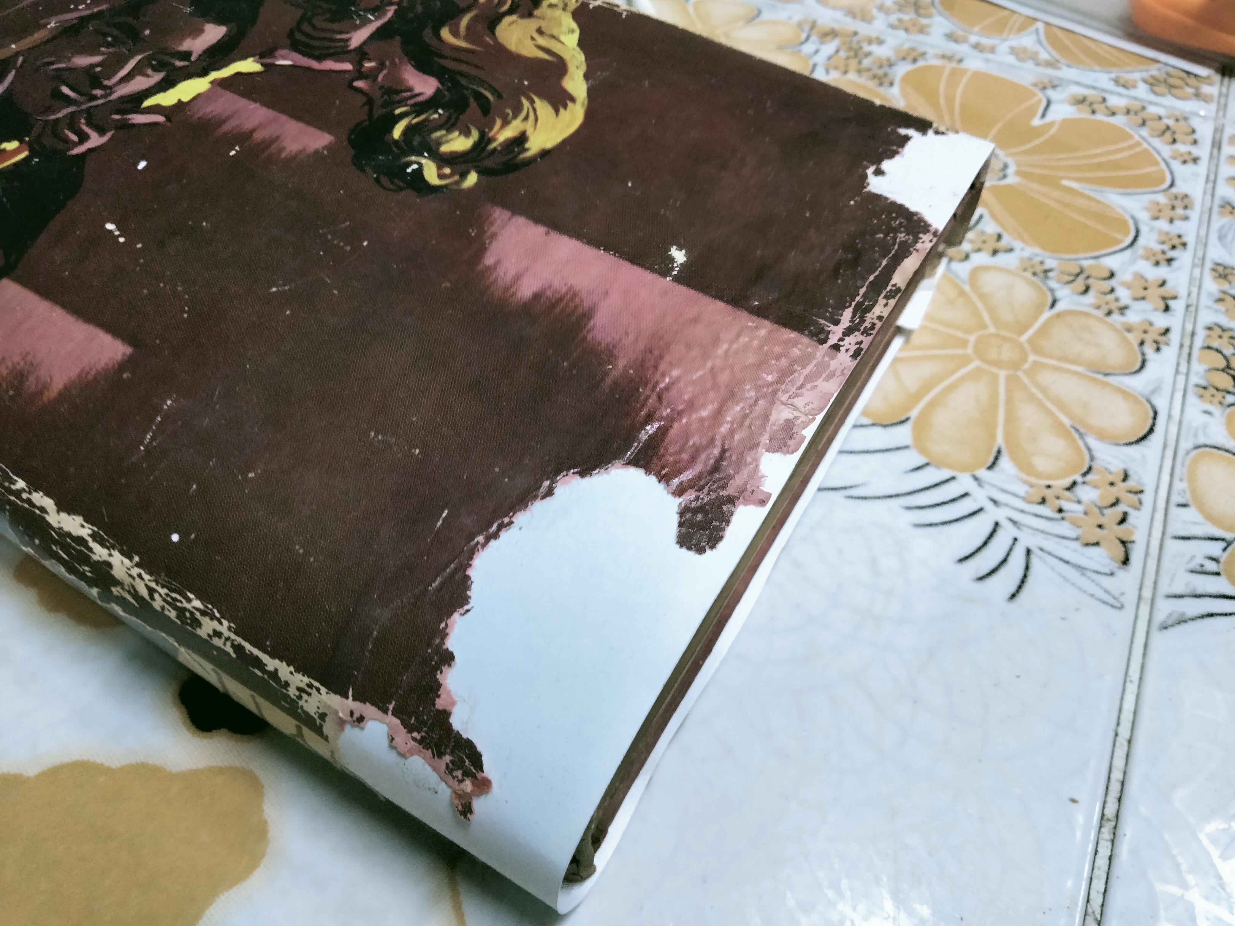 โลลิตา โดย นายตำรา ณ เมืองใต้ ถอดความจากนวนิยายเชิงจิตวิทยา เรื่อง "LOLITA" ของ Vladimir Nabokov **สินค้าหมด**