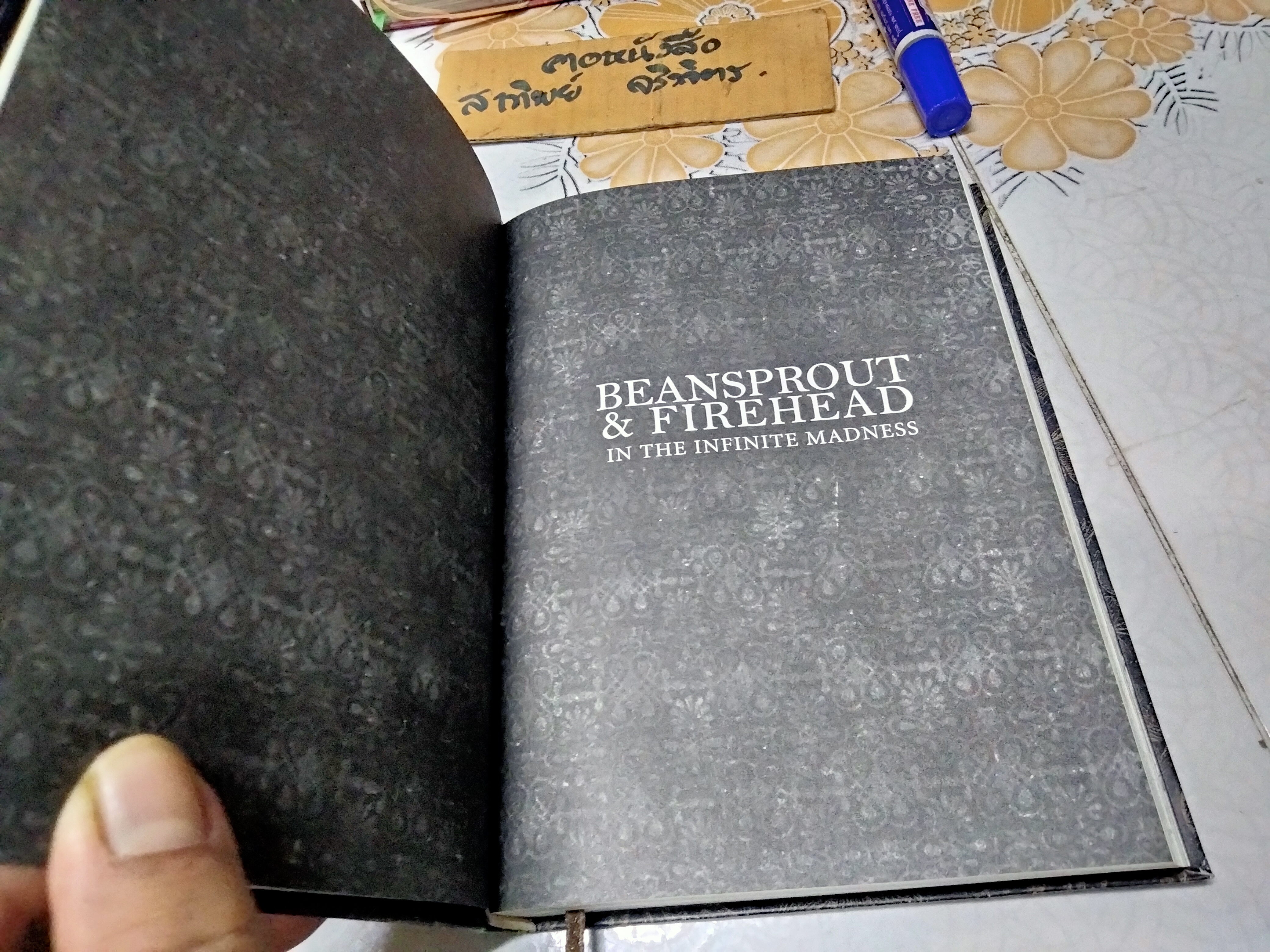 Beansprout & Firehead เล่ม I - In the Infinite Madness ในความบ้าคลั่งอันมิรู้สิ้นสุด