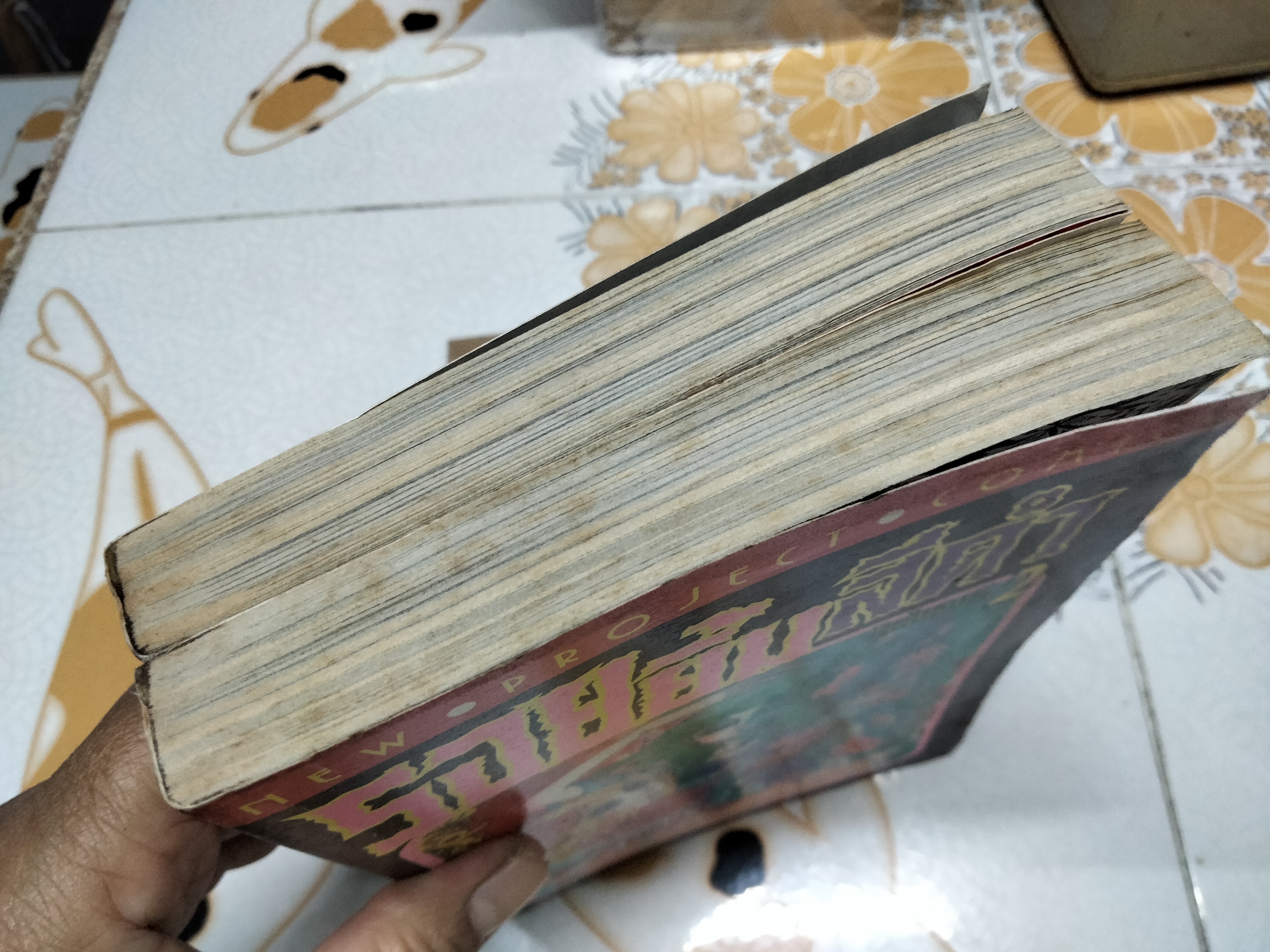 รอยยิ้มสีดำ (2 เล่มจบ) โดย Hosokawa Chieko **สินค้าหมด**