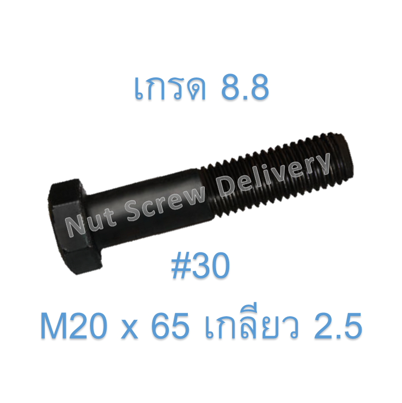 สกรูหัวเหลี่ยมมิลดำ M20 x 65 (เกลียว 2.5) ขอบ #30 เกรด 8.8