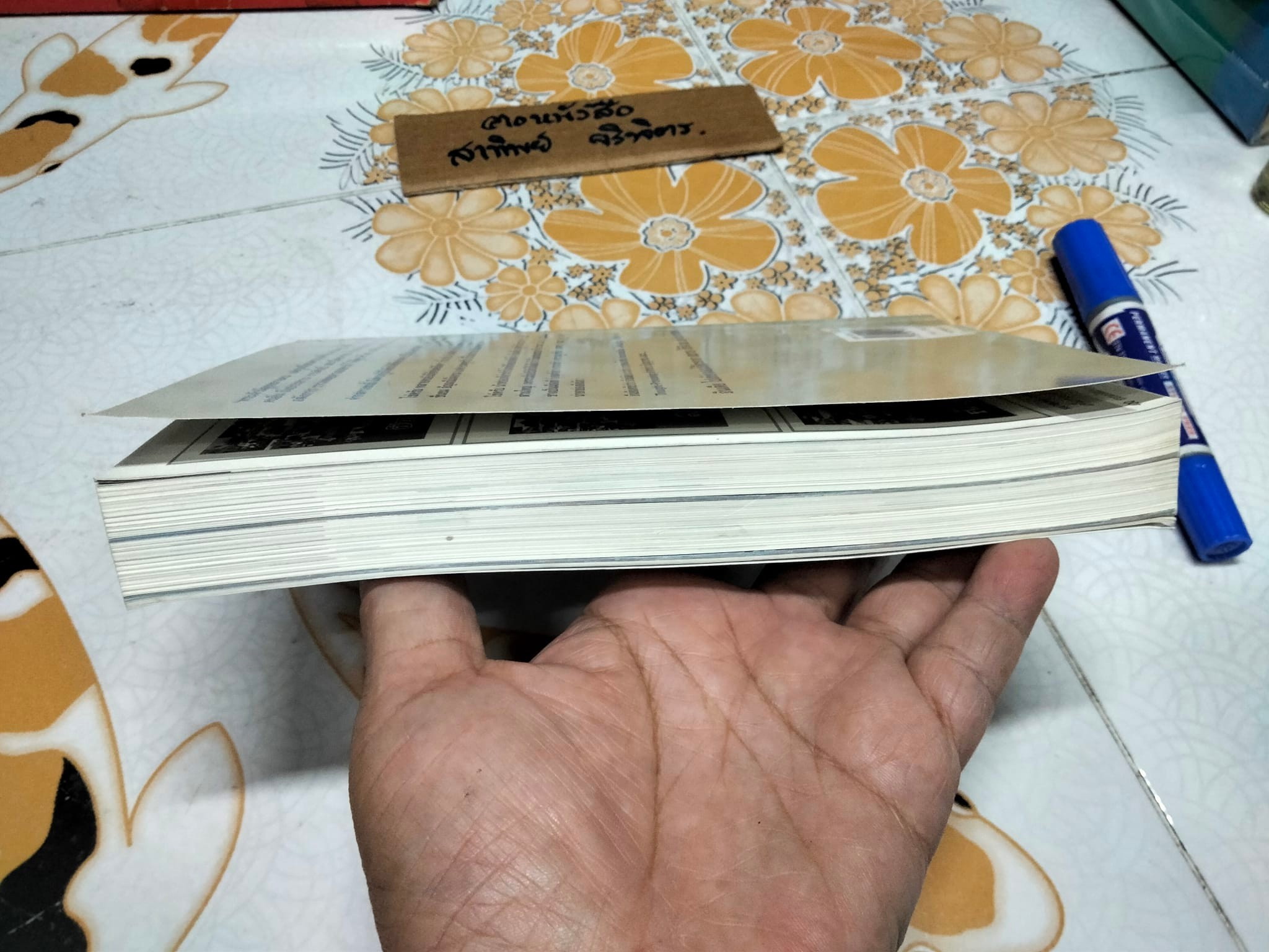 อินเดีย - เที่ยวเองได้ง่ายๆ สบายกระเป๋าสตางค์ สไตล์พี่วุฒิ & พี่เคท **สินค้าหมด**