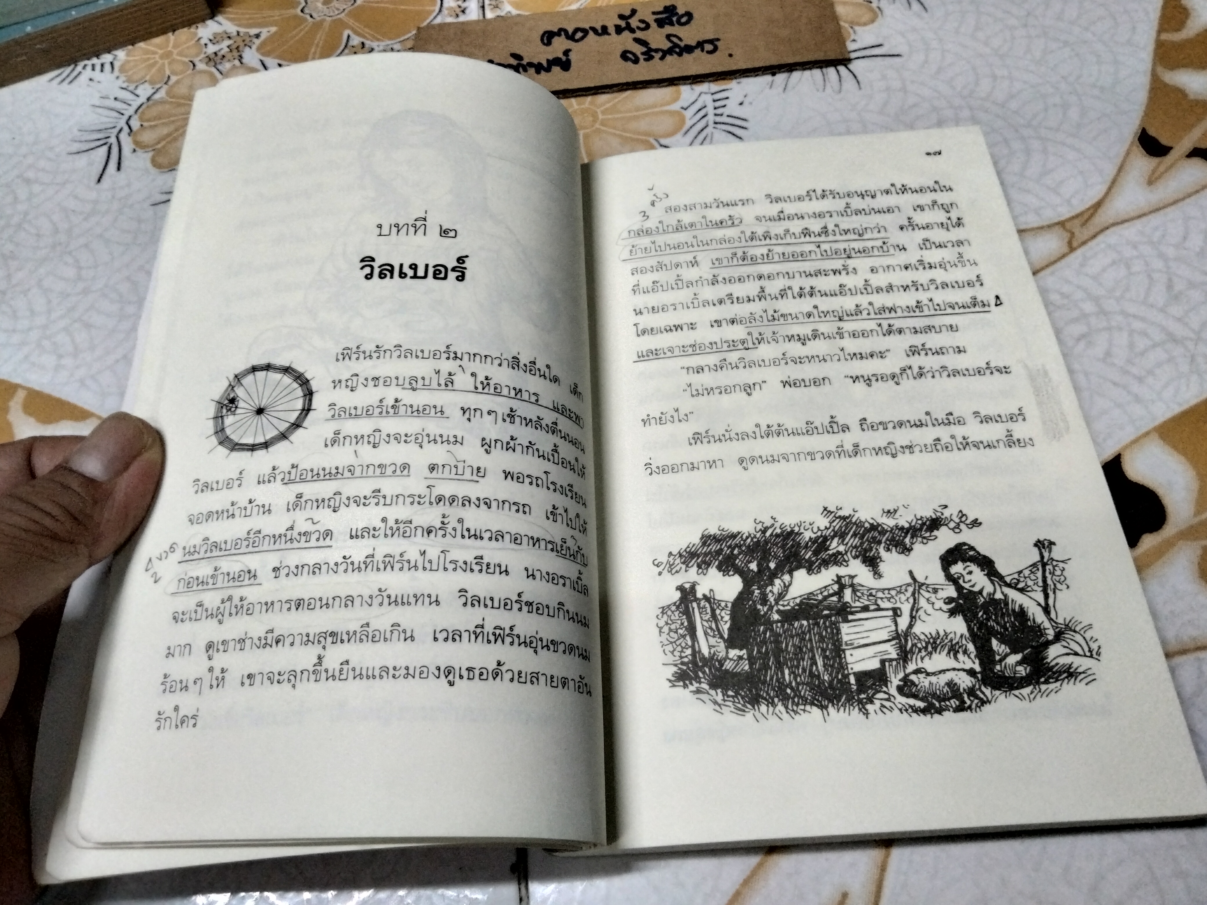 ชาร์ล็อตต์ แมงมุมเพื่อนรัก , หนังสือเด็กที่ดีที่สุดในรอบทศวรรษ ผู้เขียน E.B. White (อี. บี. ไวท์) ผู้แปล คณา คชา **สินค้าหมด**