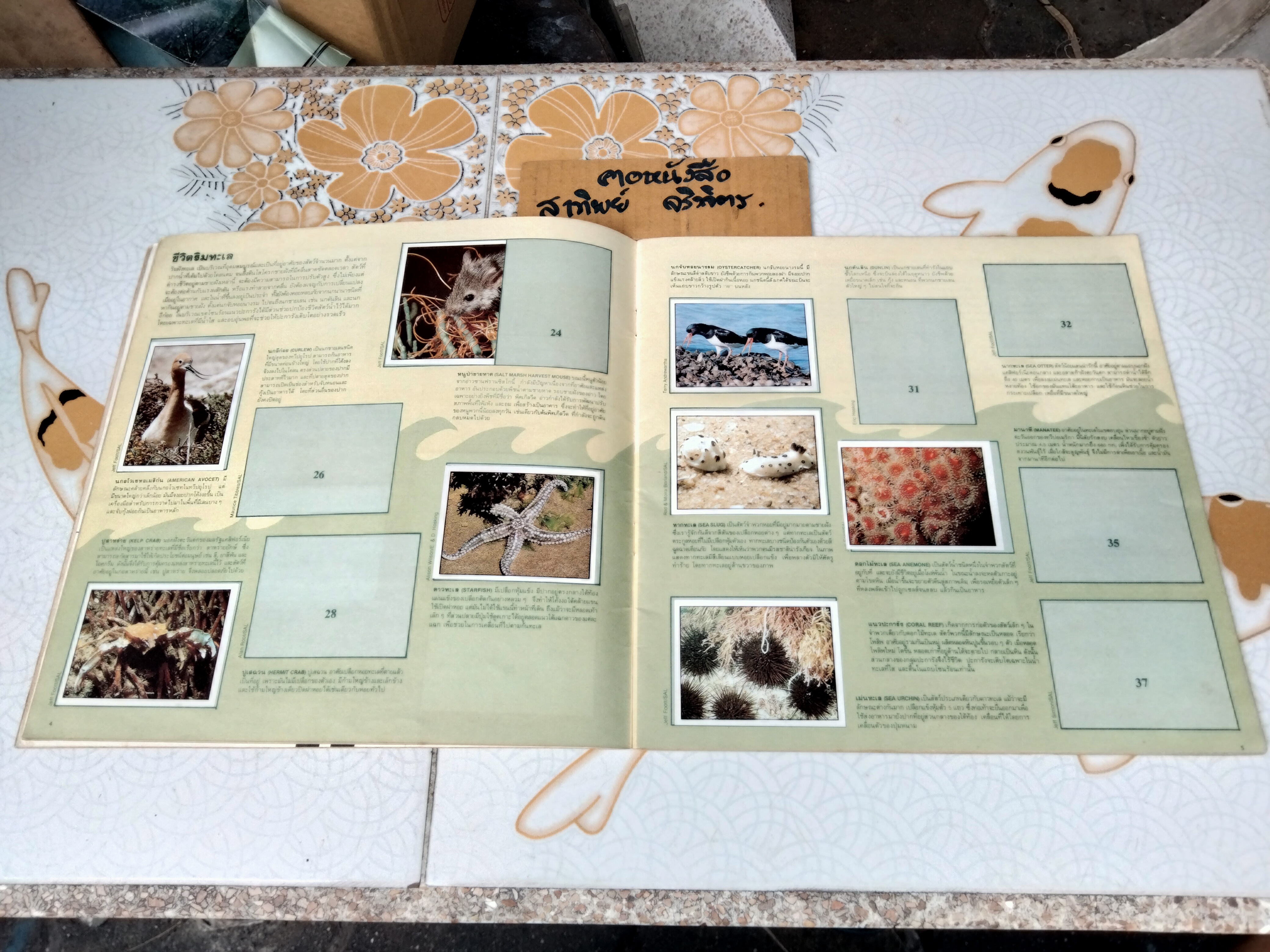 สมุดสะสมสติกเกอร์ ชีวิตสัตว์โลก (แปะไป 66 รูป/ 240 รูป)