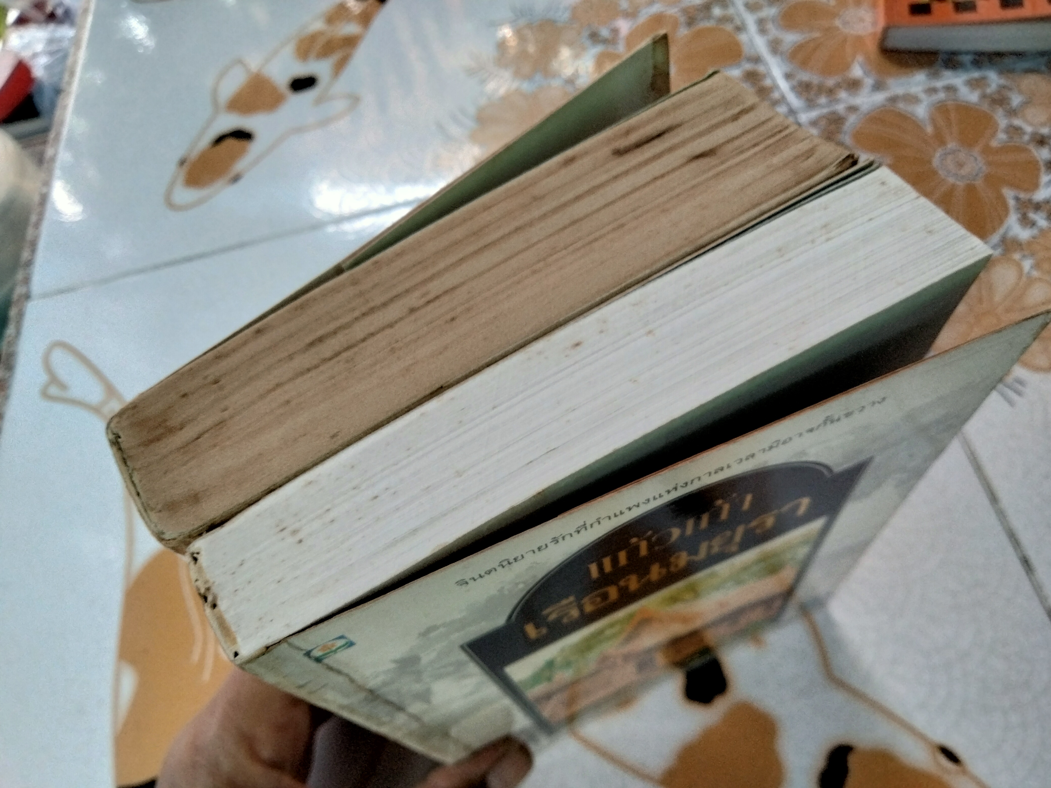 เรือนมยุรา (2 เล่มจบ- พิมพ์คนละครั้ง) แก้วเก้า