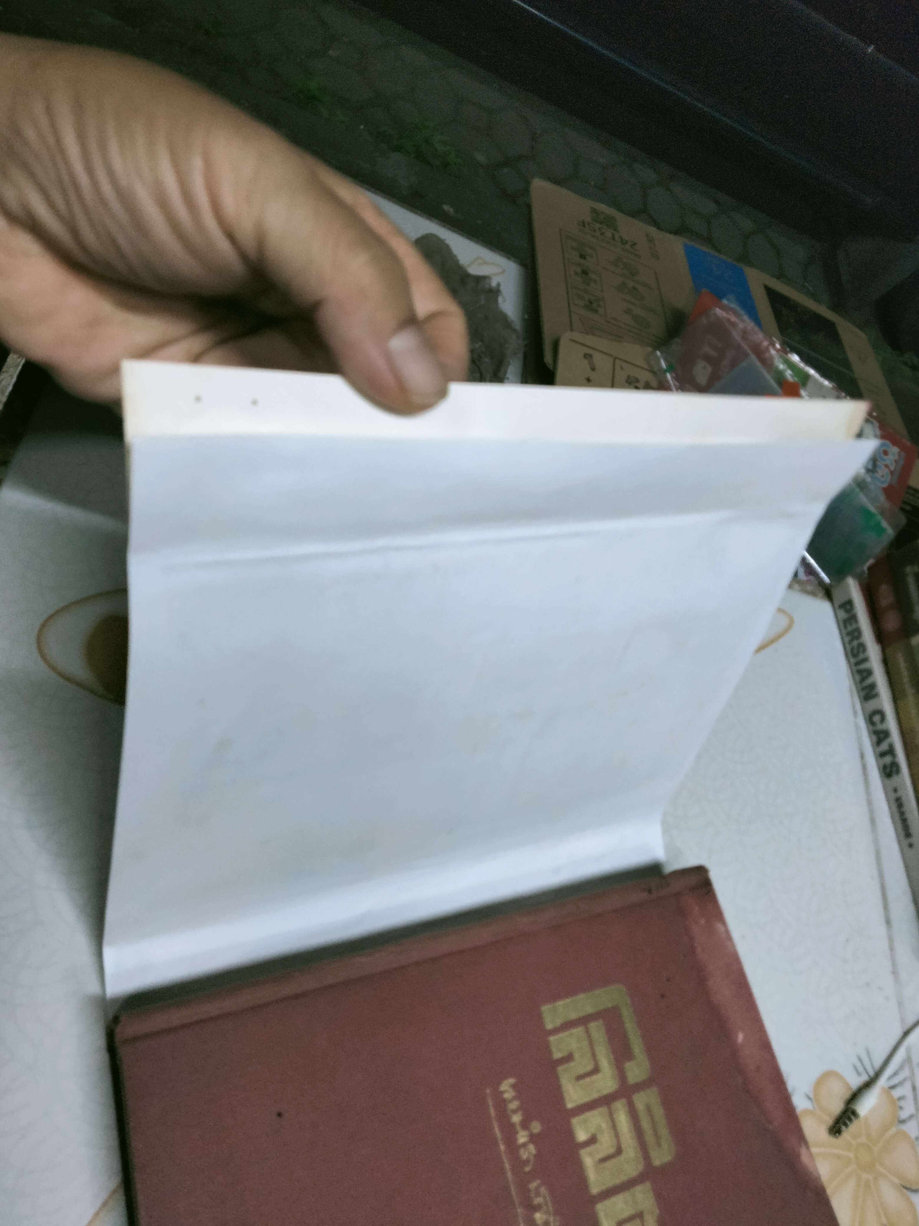 โลลิตา โดย นายตำรา ณ เมืองใต้ ถอดความจากนวนิยายเชิงจิตวิทยา เรื่อง "LOLITA" ของ Vladimir Nabokov **สินค้าหมด**