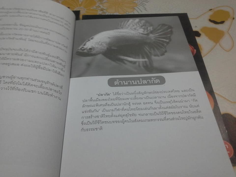 คู่มือเลี้ยงปลากัด ฉบับสมบูรณ์ **สินค้าหมด**
