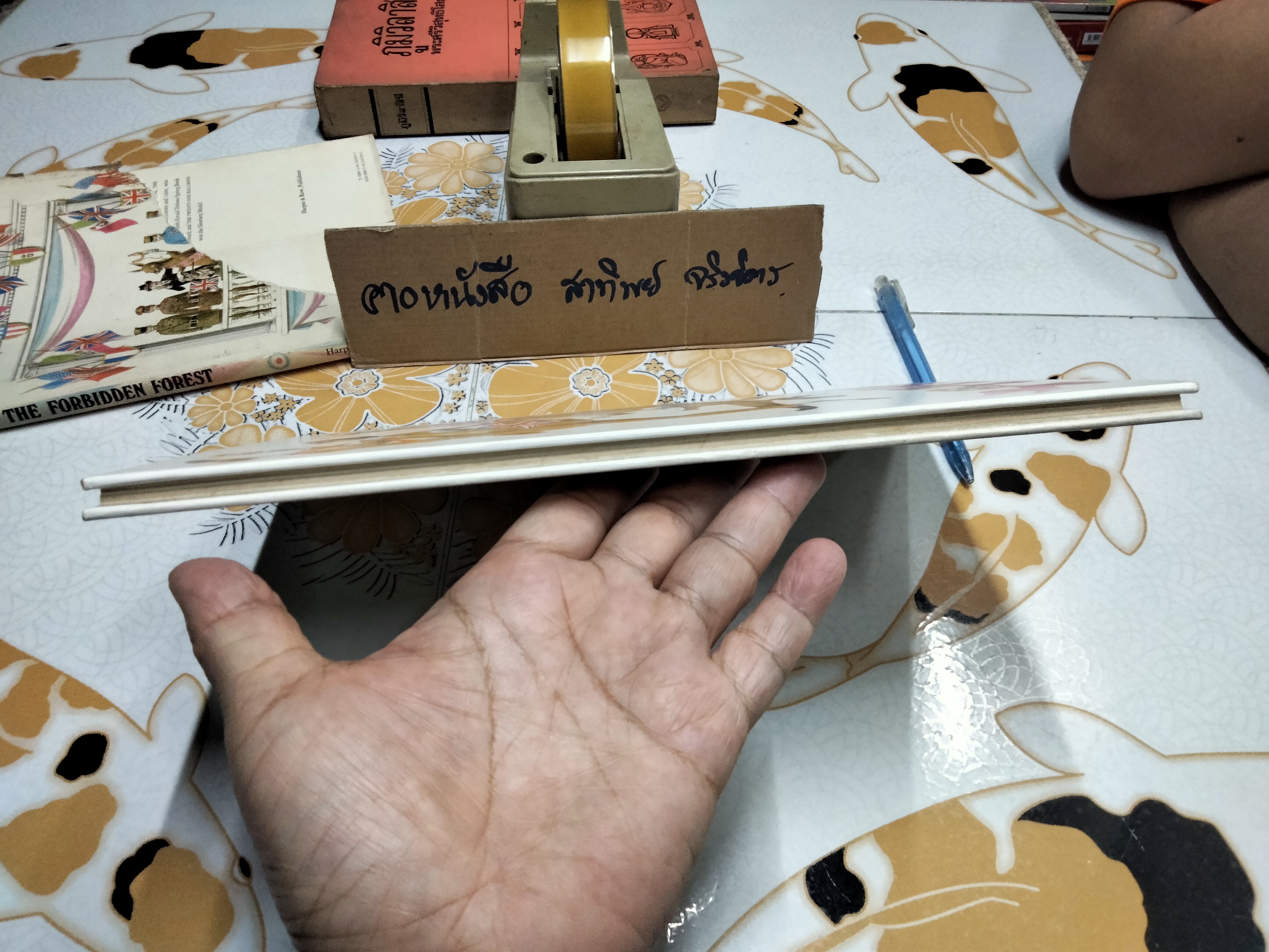 THE FORBIDDEN FOREST - William Pène du Bois (ใบหุ้มปกขาด)