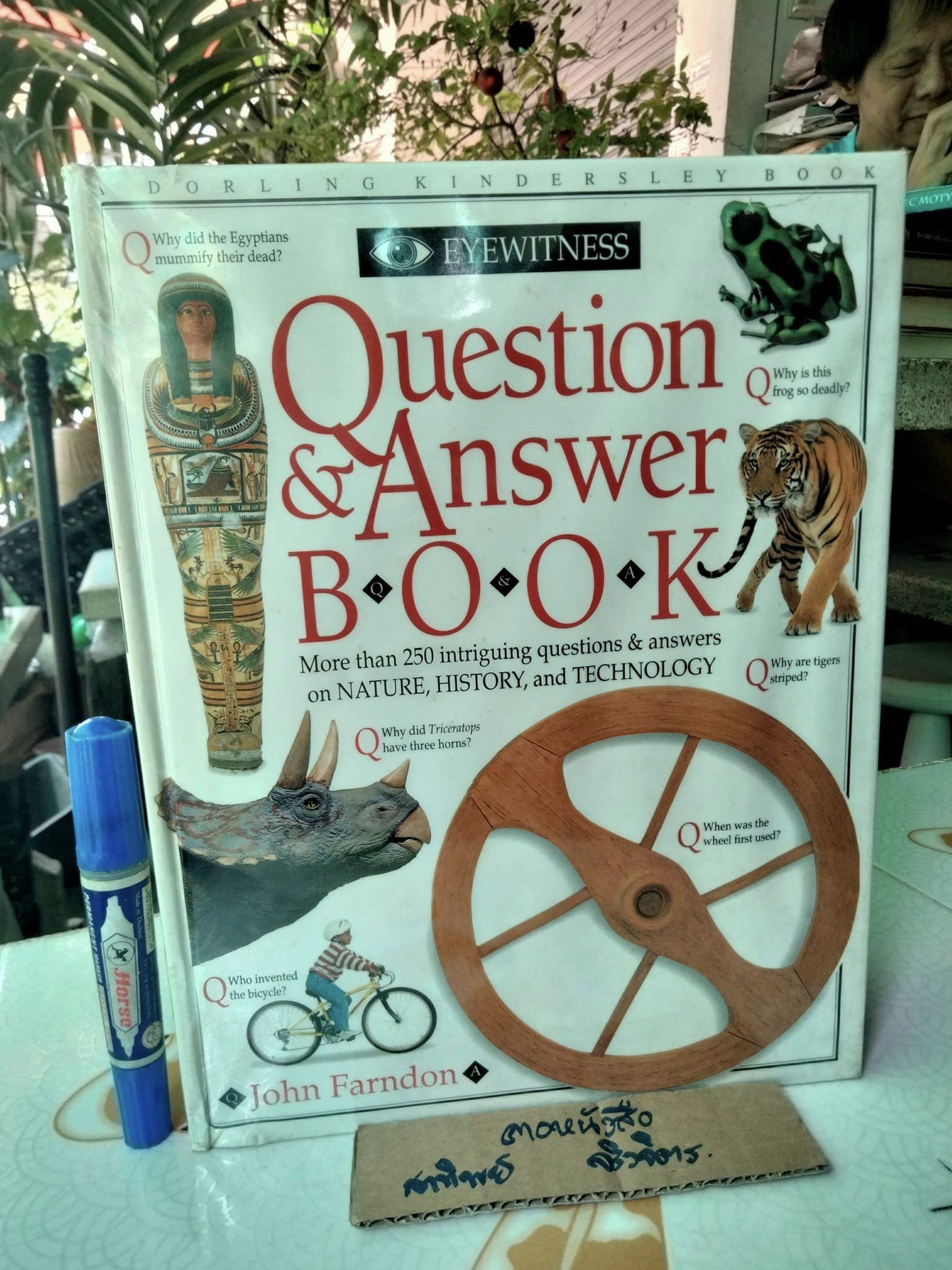 Question & Answer Book หนังสือความรู้ยอดนิยม Eyewitness