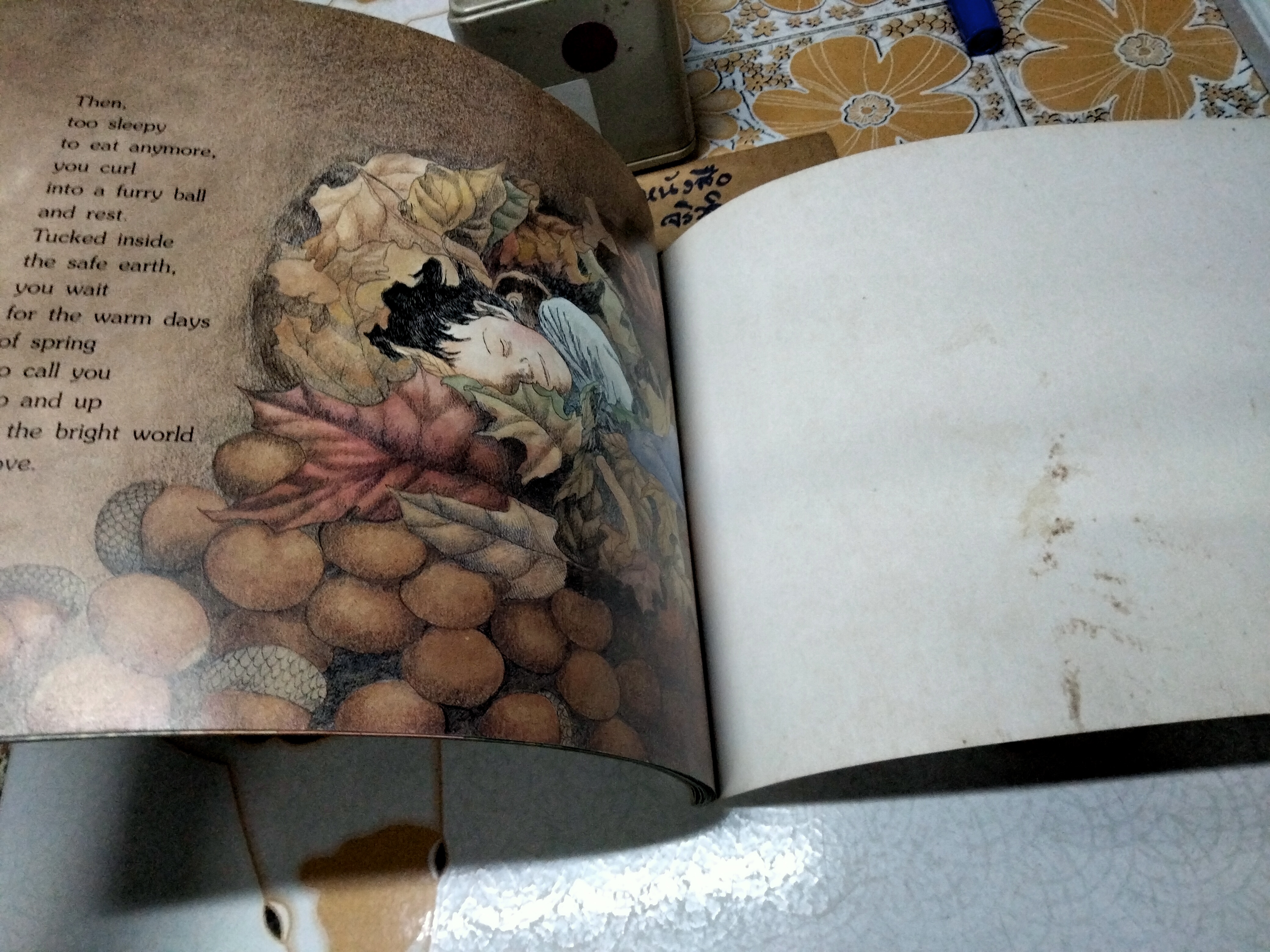 Chipmunk Song by Joanne Ryder Pictures by Lynne Cherry, 1990